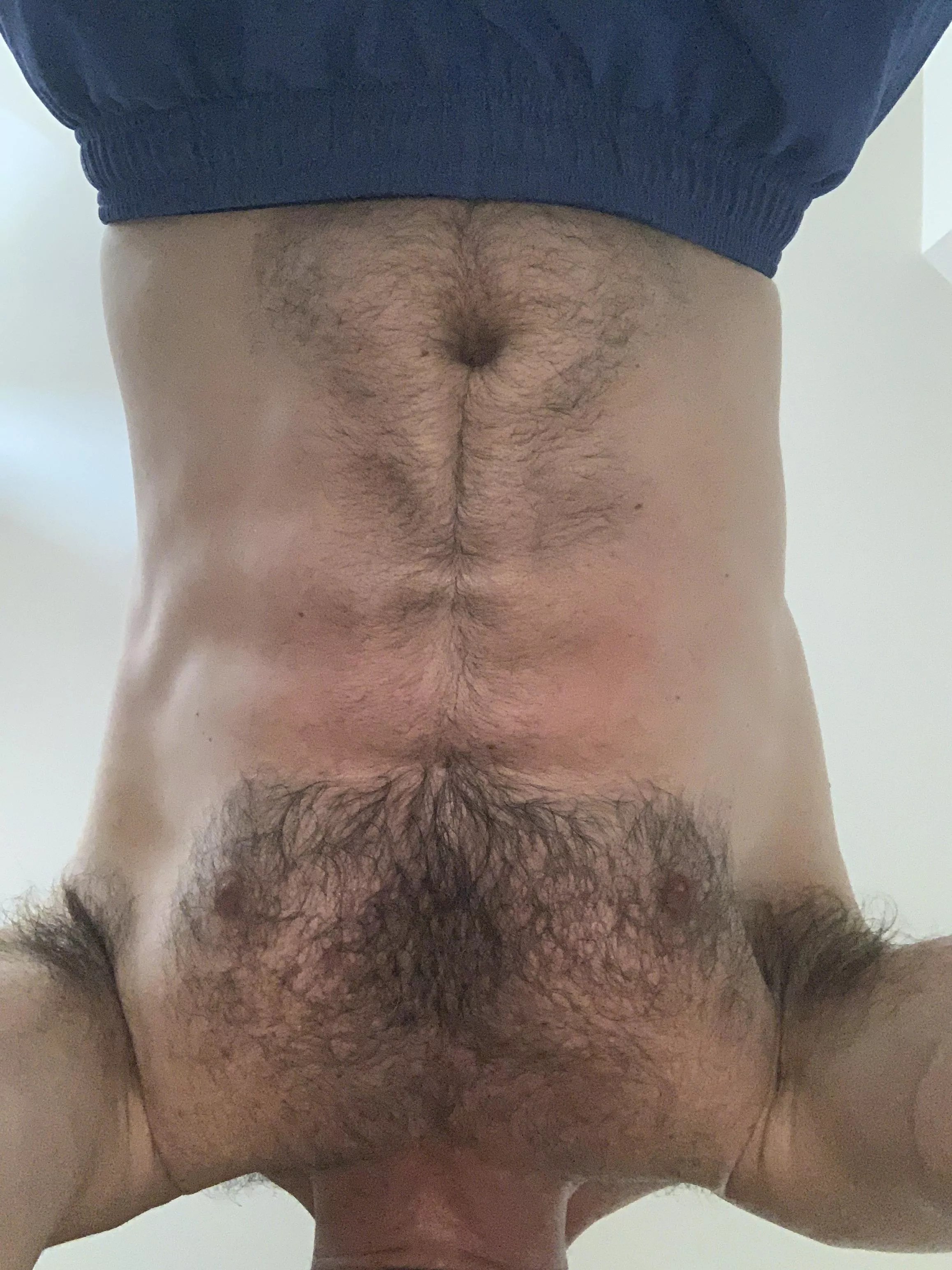 (40)(m) and planking. Can I rest on you? posted by justaguy8083