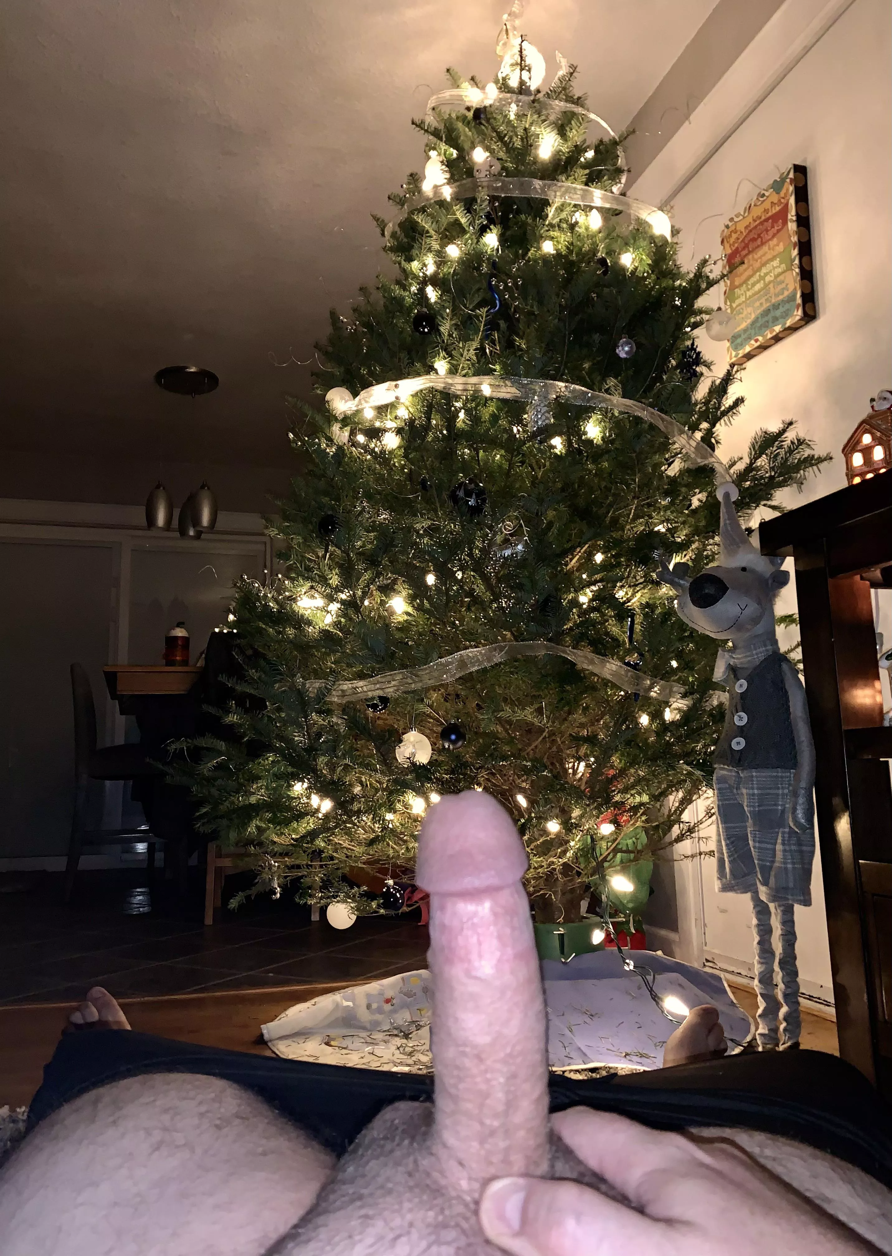 (42) Christmas tree is up, and there’s already one present under the tree. Do you want it wrapped or nah?!? posted by Agency-National