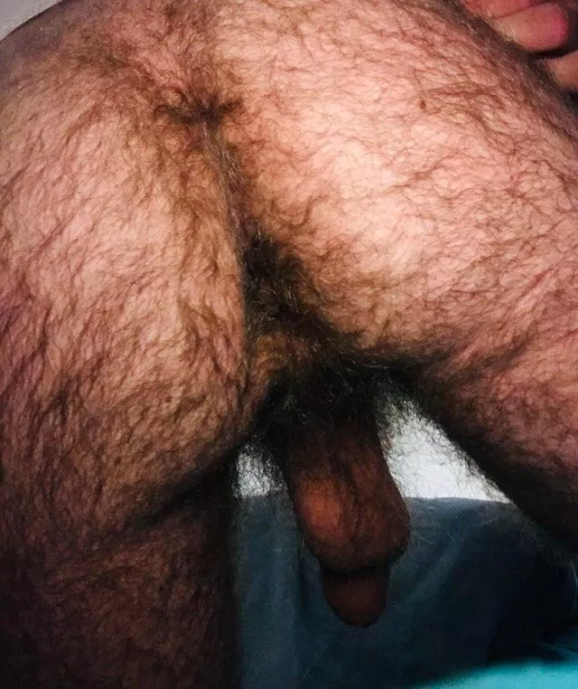 (48) Feel my hairy arse. posted by IcyMaterial2