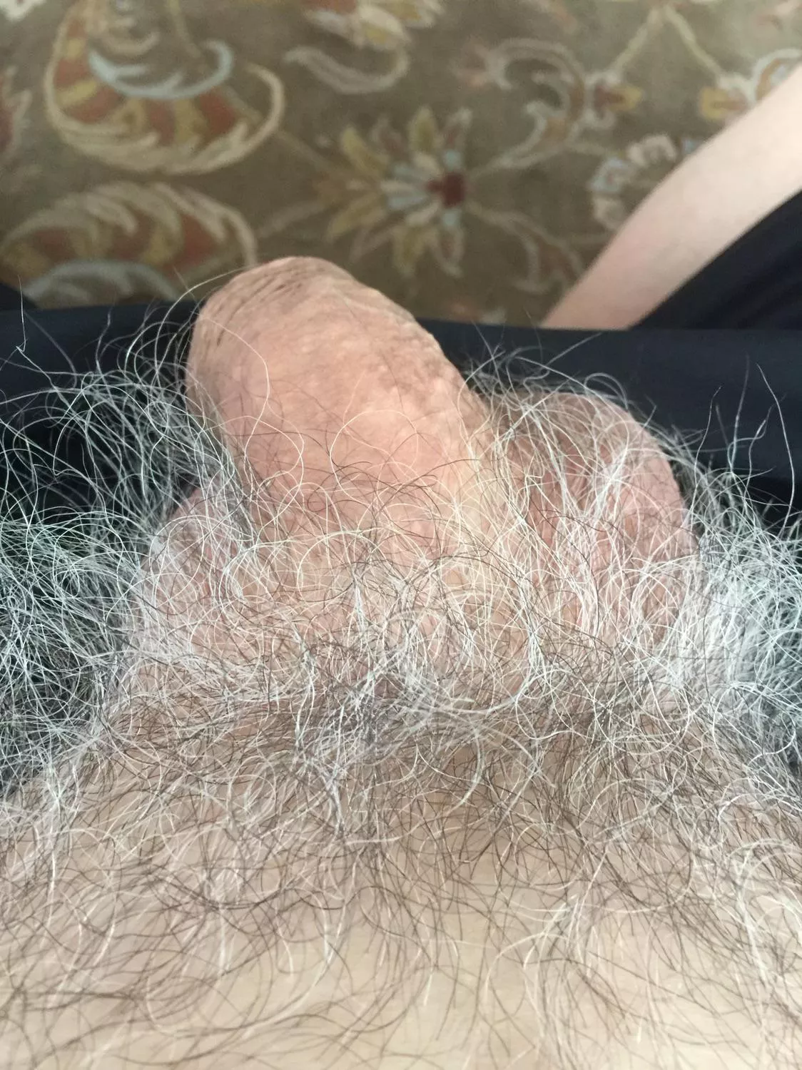 66 Horny for gray pubes! Show me some silver streaked bush! Snap at mikekrakow2 posted by mikelynn2020