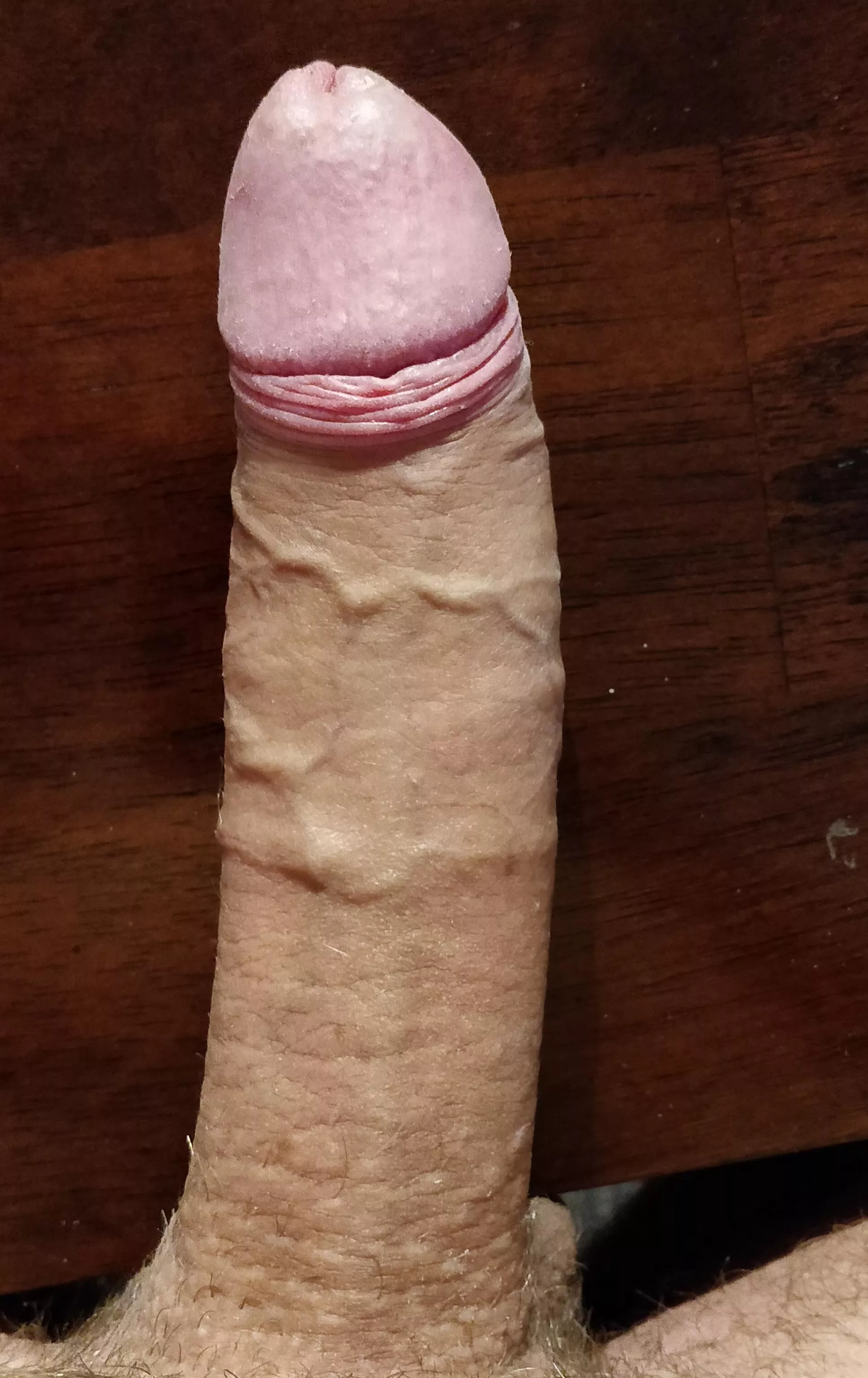 7 inch uncut cock. Tell me what you think posted by dnice416