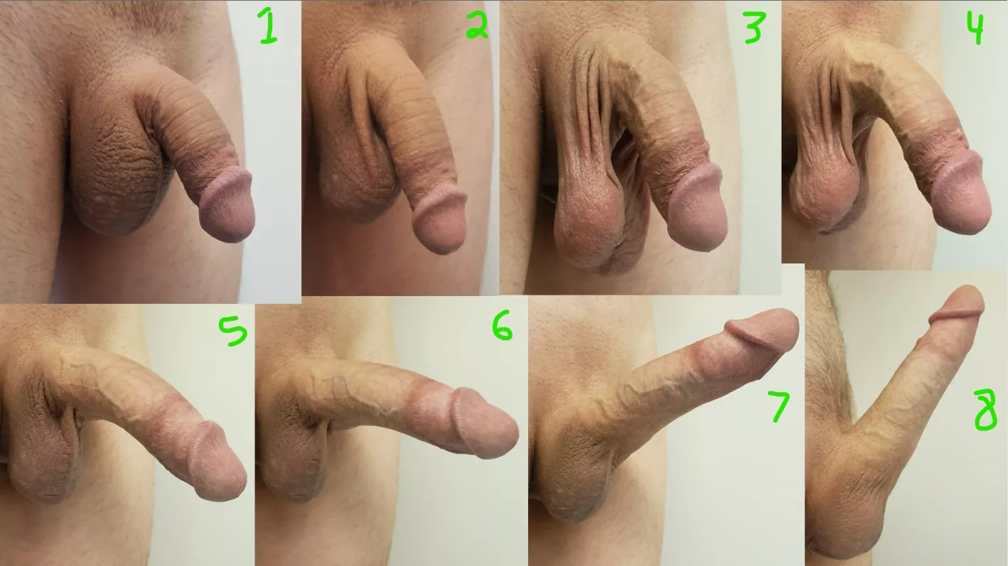 8 different stages of my cock posted by tawy000