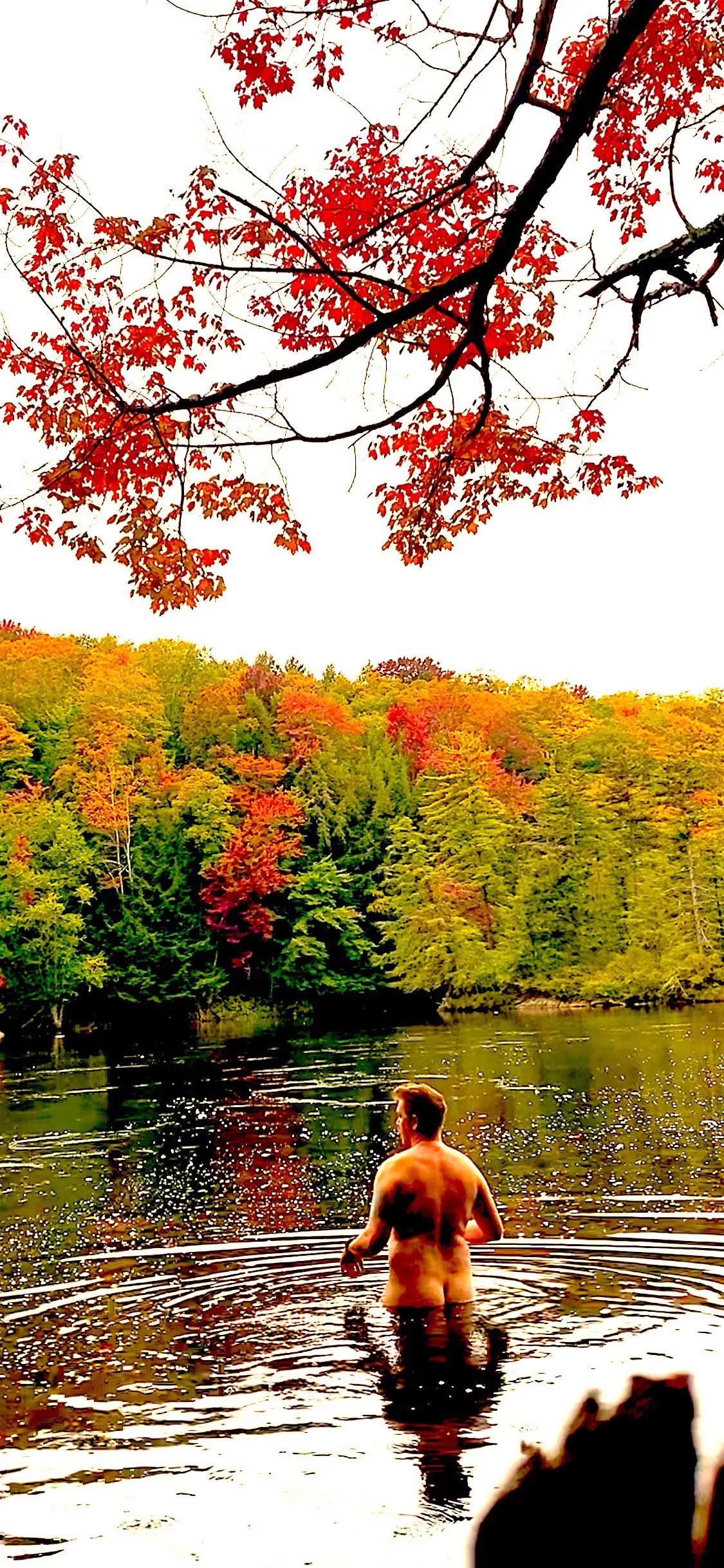 A beautiful fall day posted by NYDILF