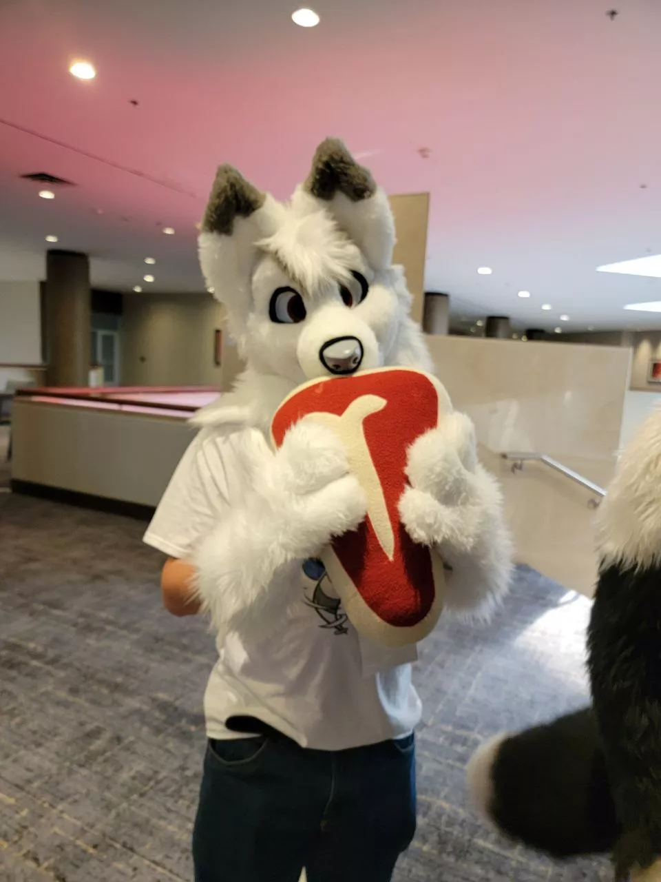 A bit late but here is me in my partial fursuit at TTFC! posted by cashuea