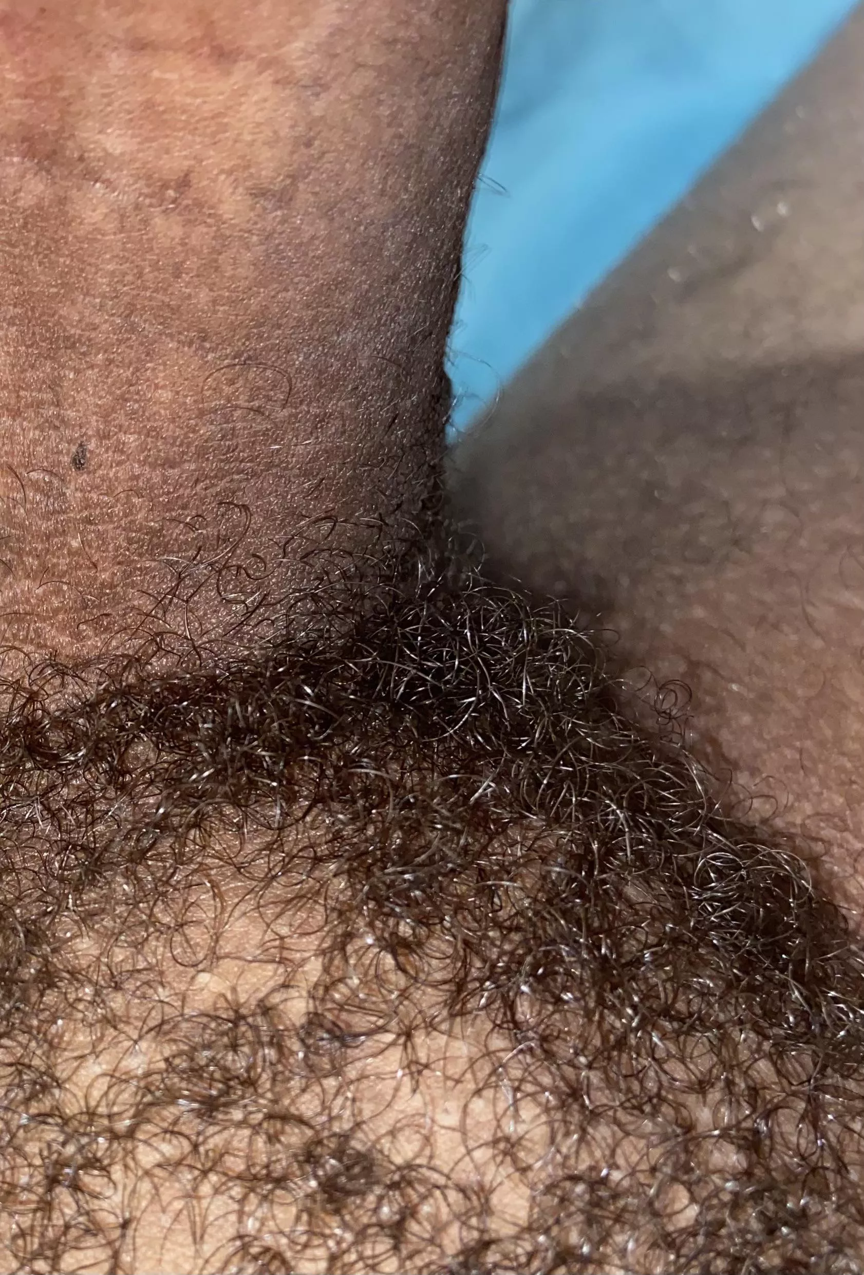 A close up of my bush (19) posted by AnnaShock2