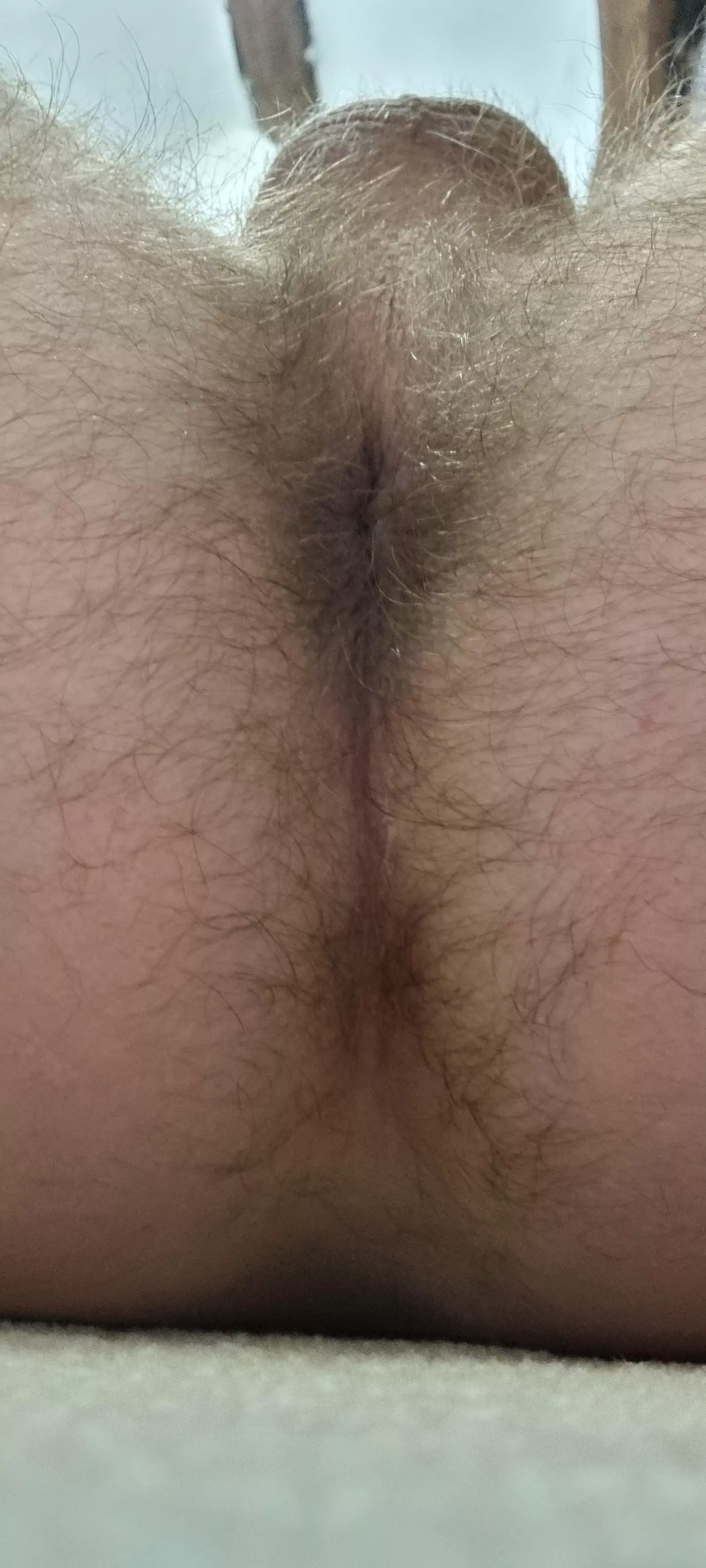 A fluffy man hole needs filling in 😉 posted by son2507