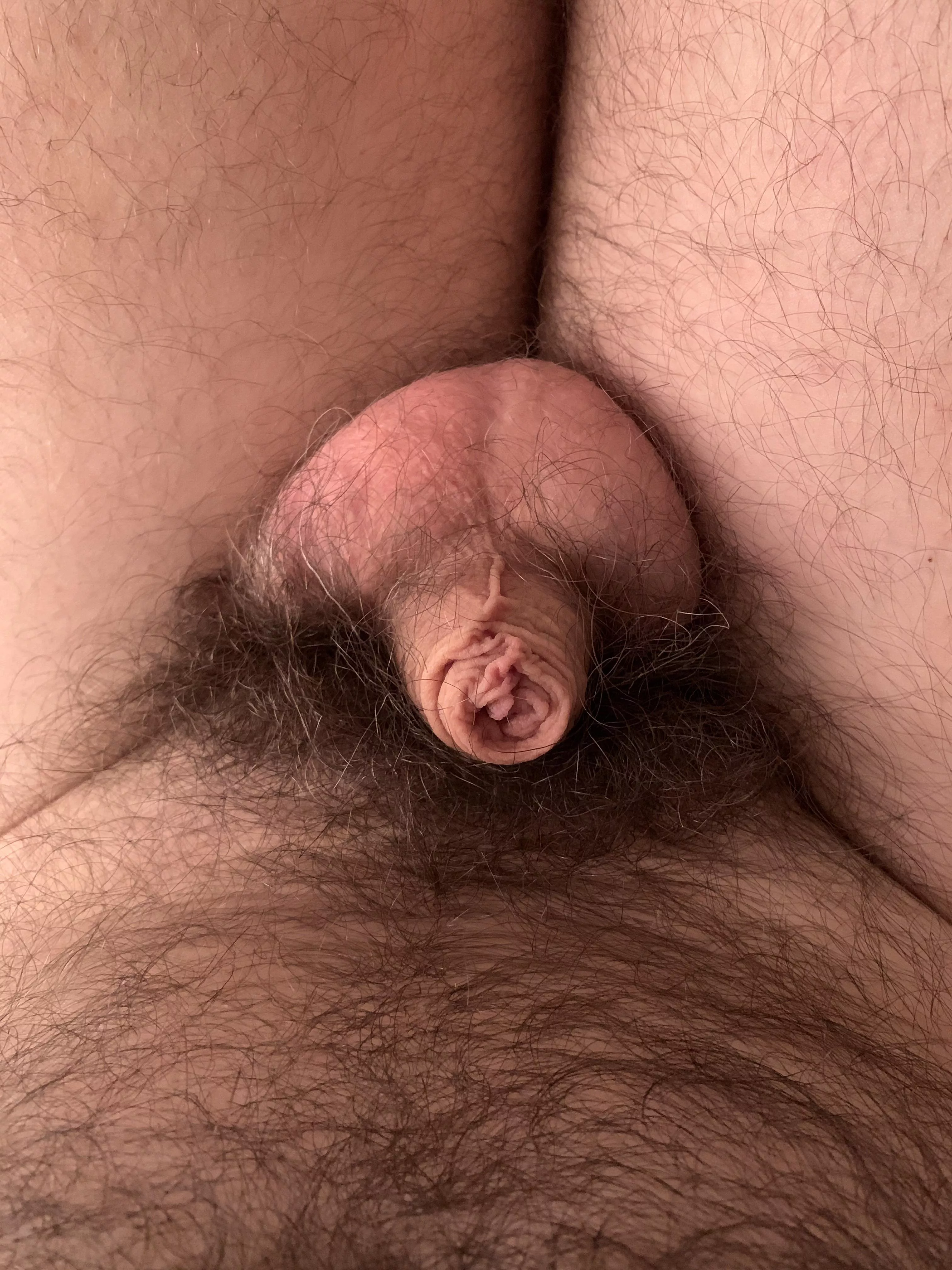 A foreskin and nothing else 😁 posted by 4inchesnudist