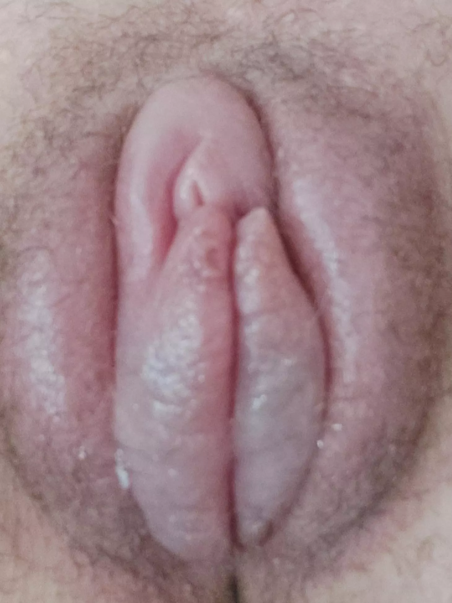 A plump, pumped pussy ready to be touched. Update to my post yesterday. posted by elday2019