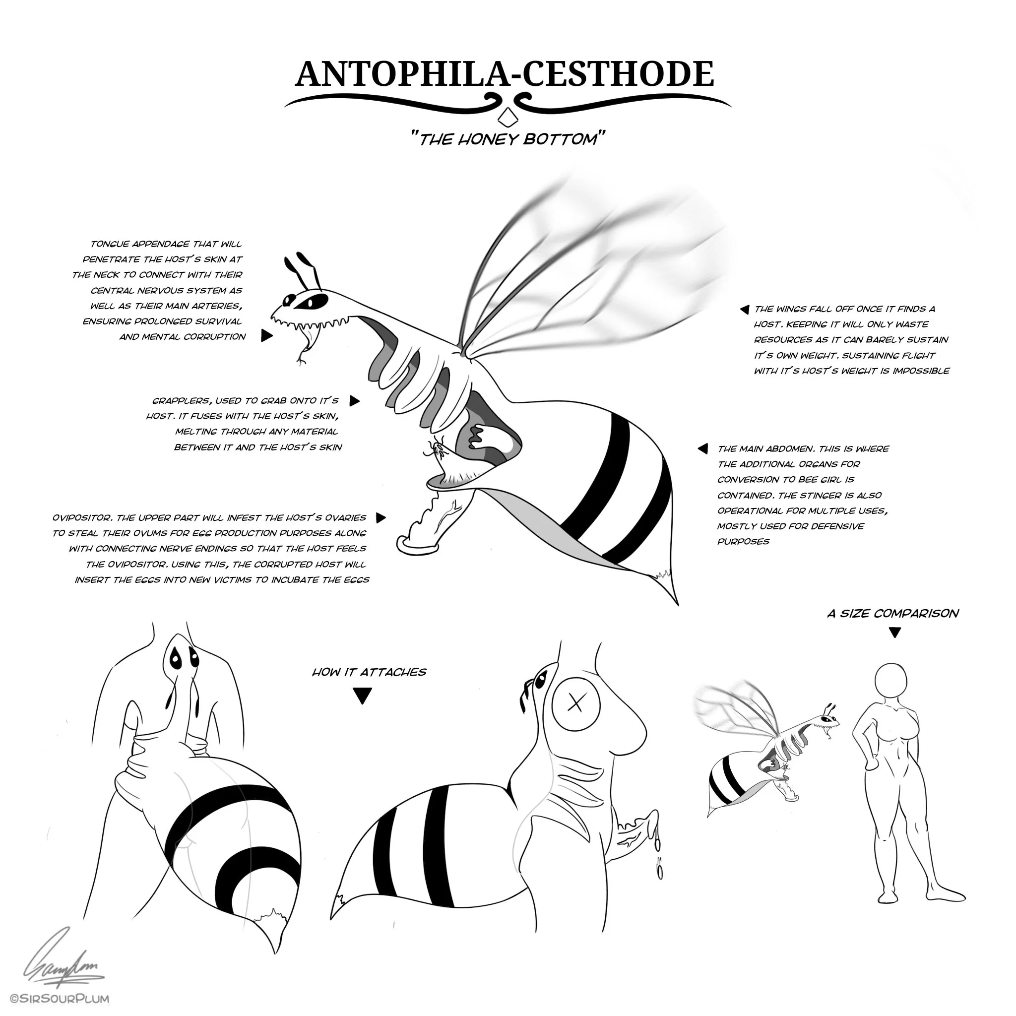 A queen bee parasite concept (SirSourPlum) posted by SirSourPlum