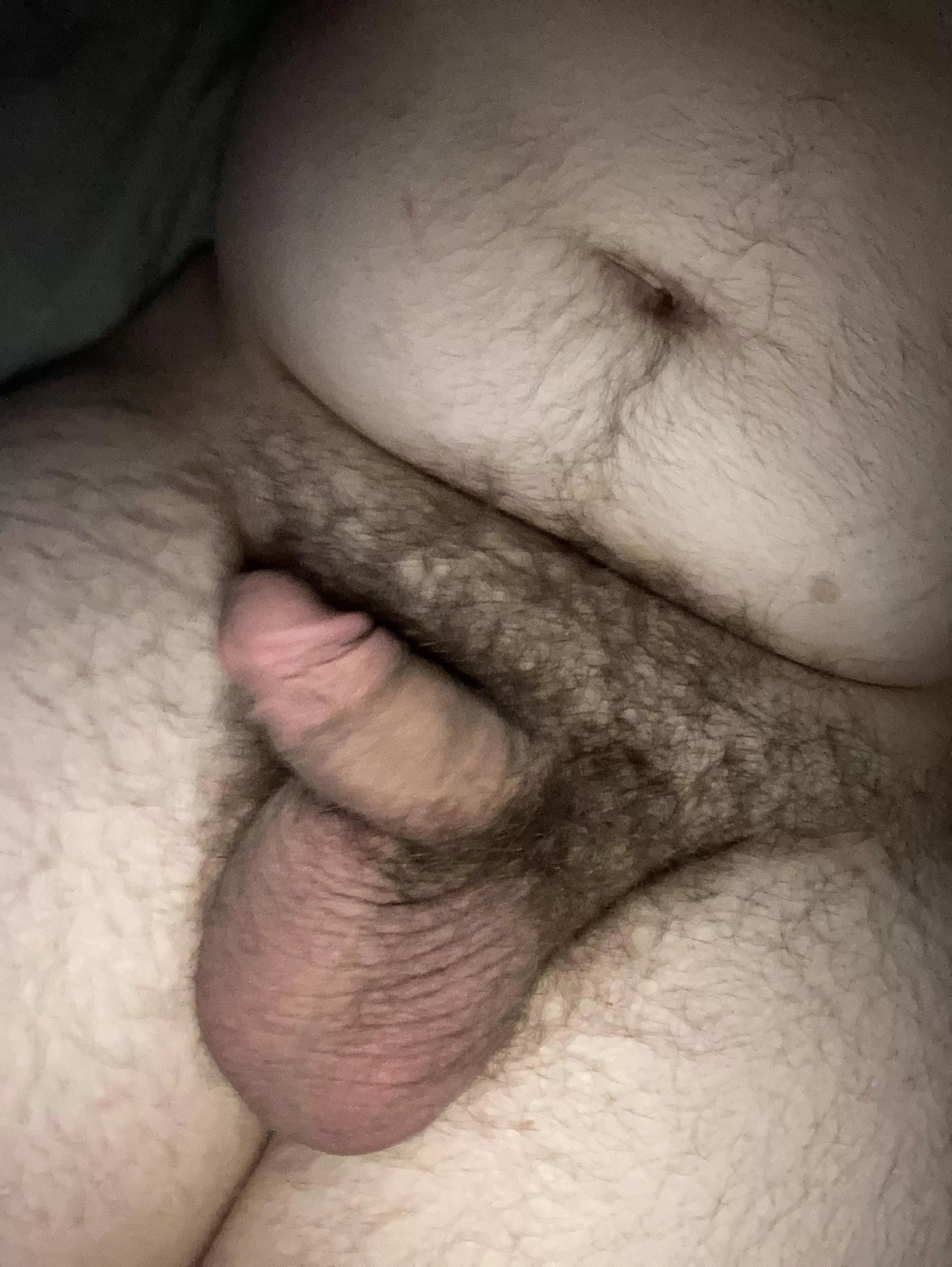 a rare softy this time~ posted by Bullfag