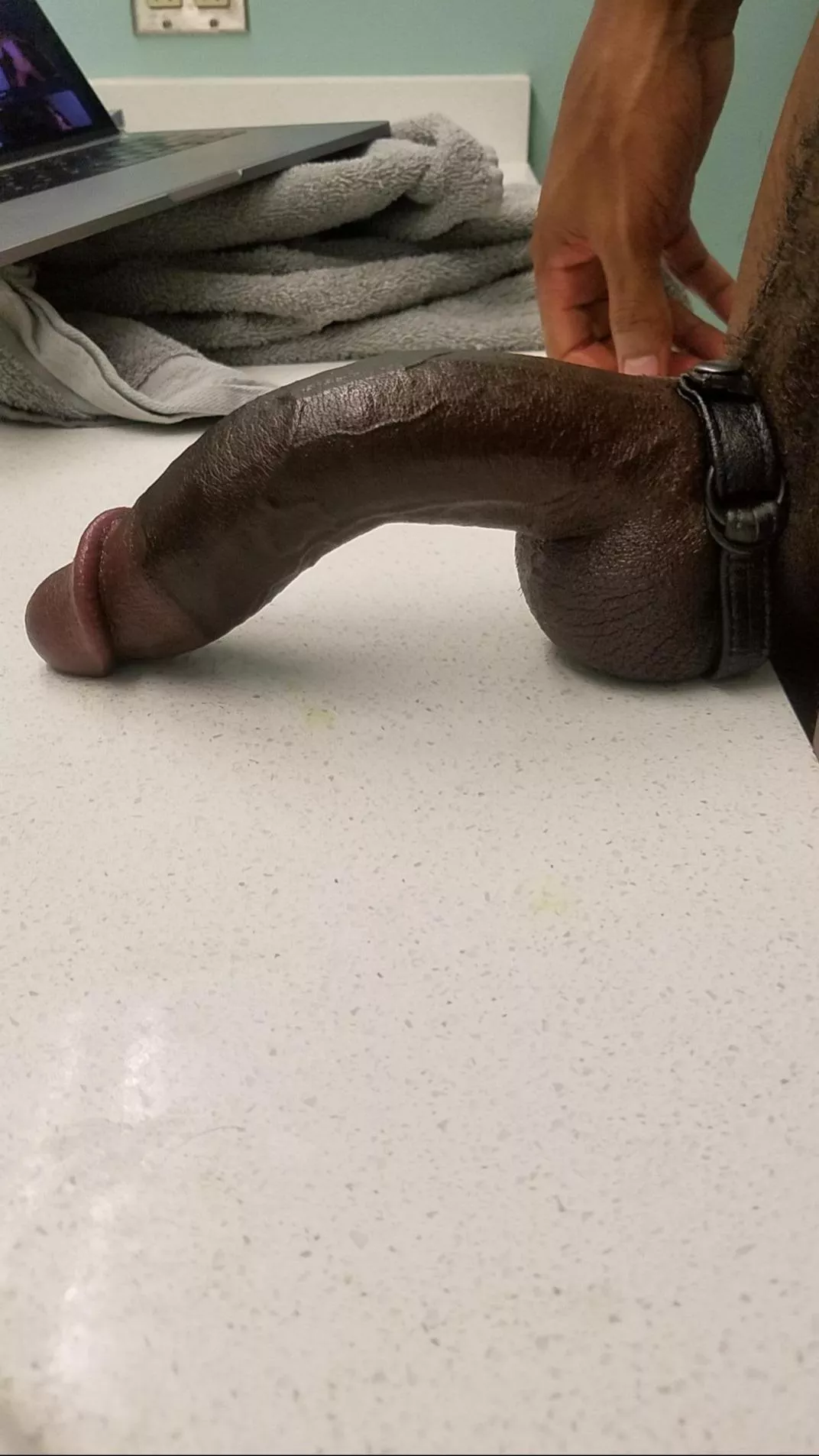 A real alpha cock looks like this!😏 posted by Latinhotstudxx