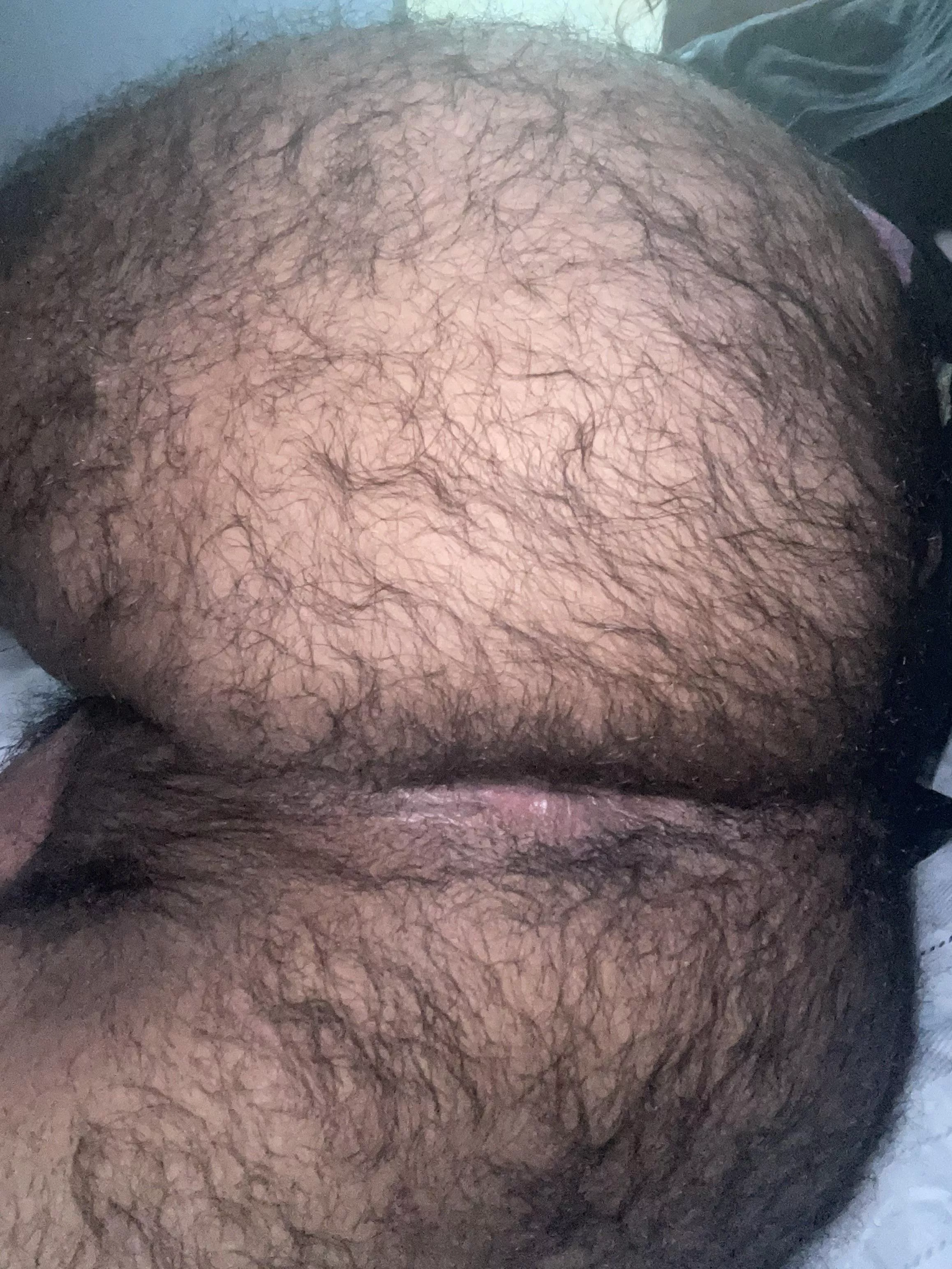 A sneak peek of my hole 😉 posted by gayandhairy