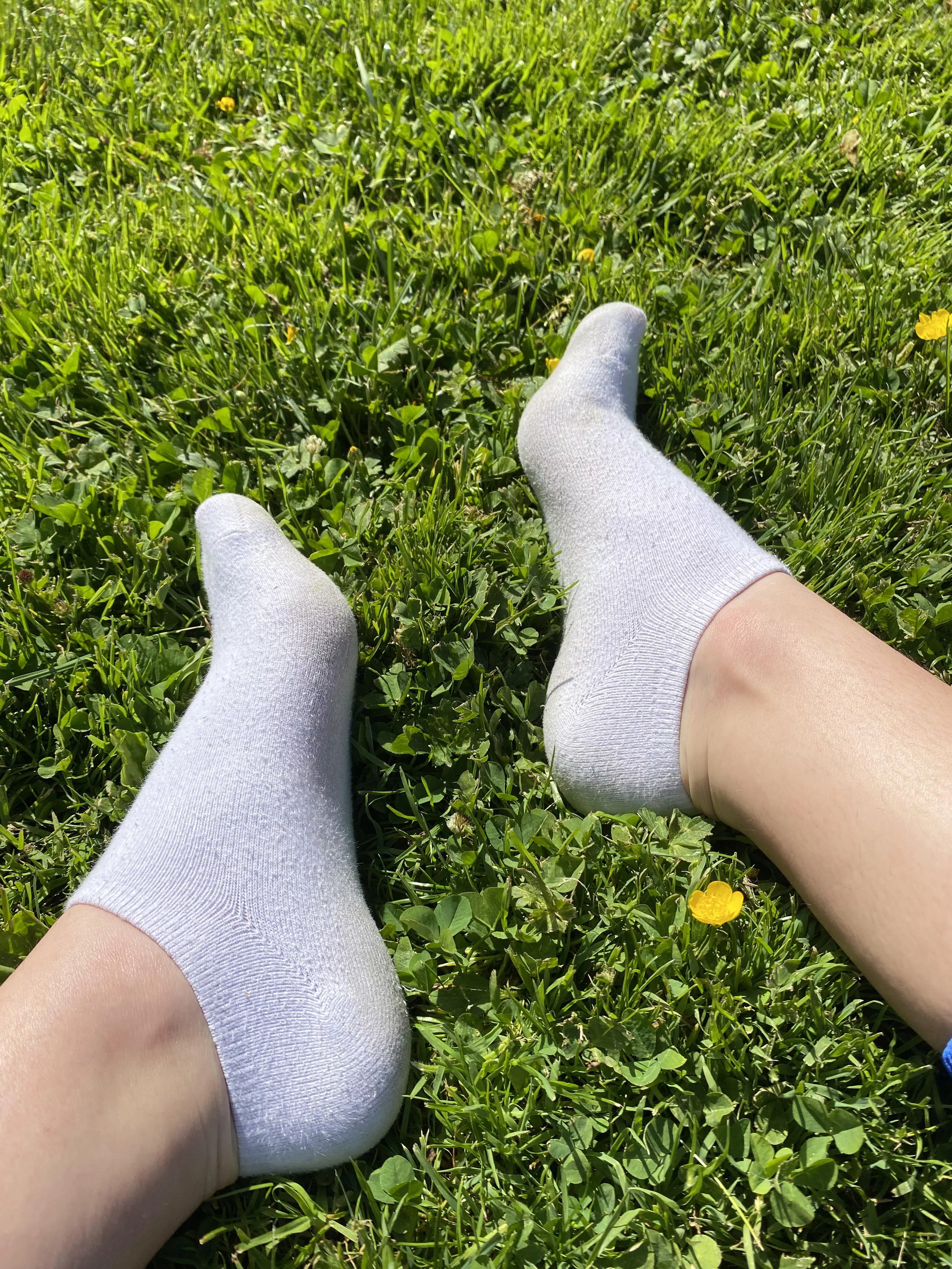 Airing out my socks today 🌞 posted by Secretsexysocks