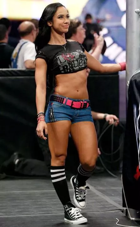 AJ Lee doesn't get enough attention she deserves, such a cute sexy lady! posted by blissfullstarling