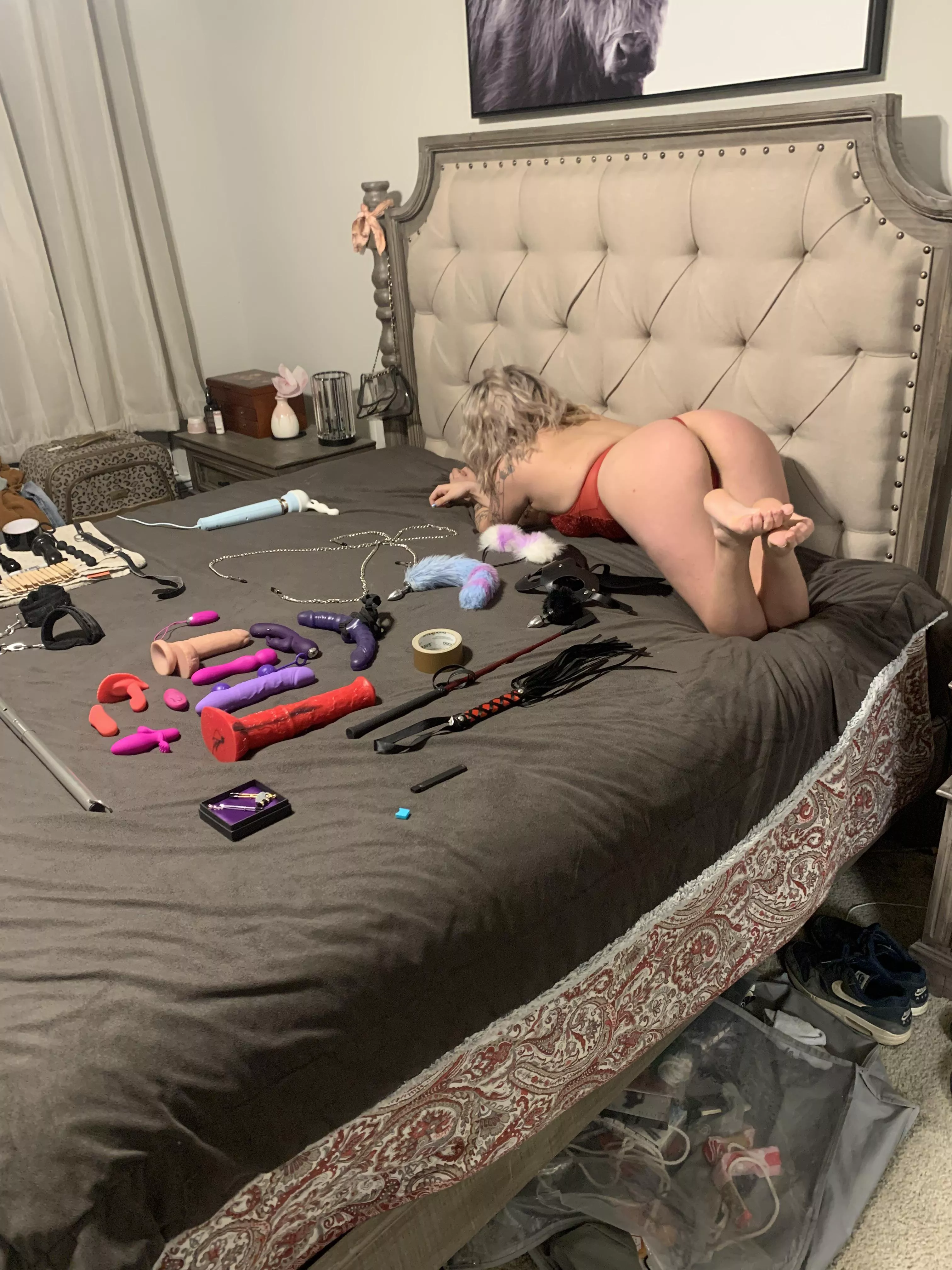 All these toys and all he wants to use is the whip… [F] posted by False_Bee_5765