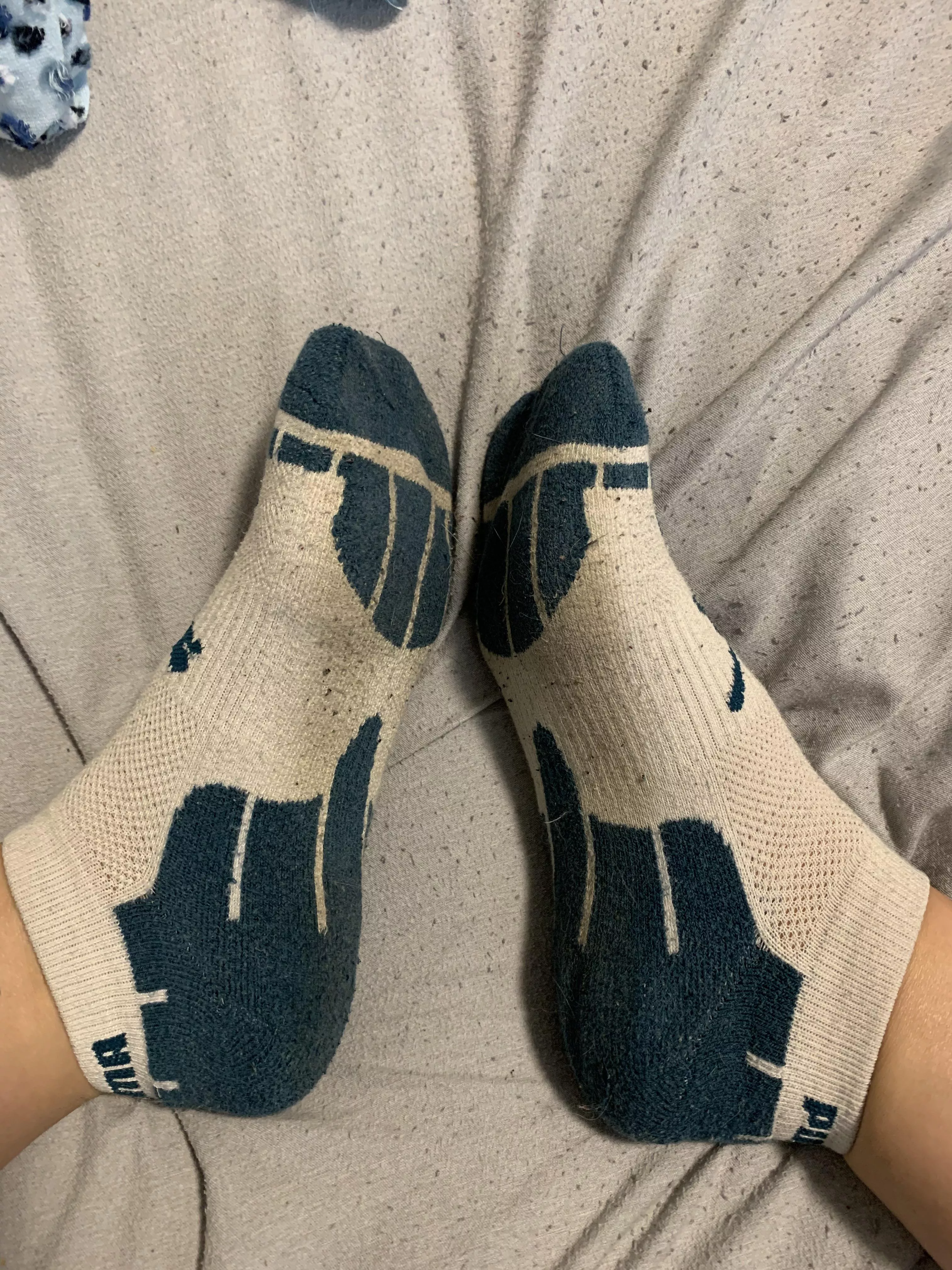 All you want is to smell my socks posted by onlyfeet_1234