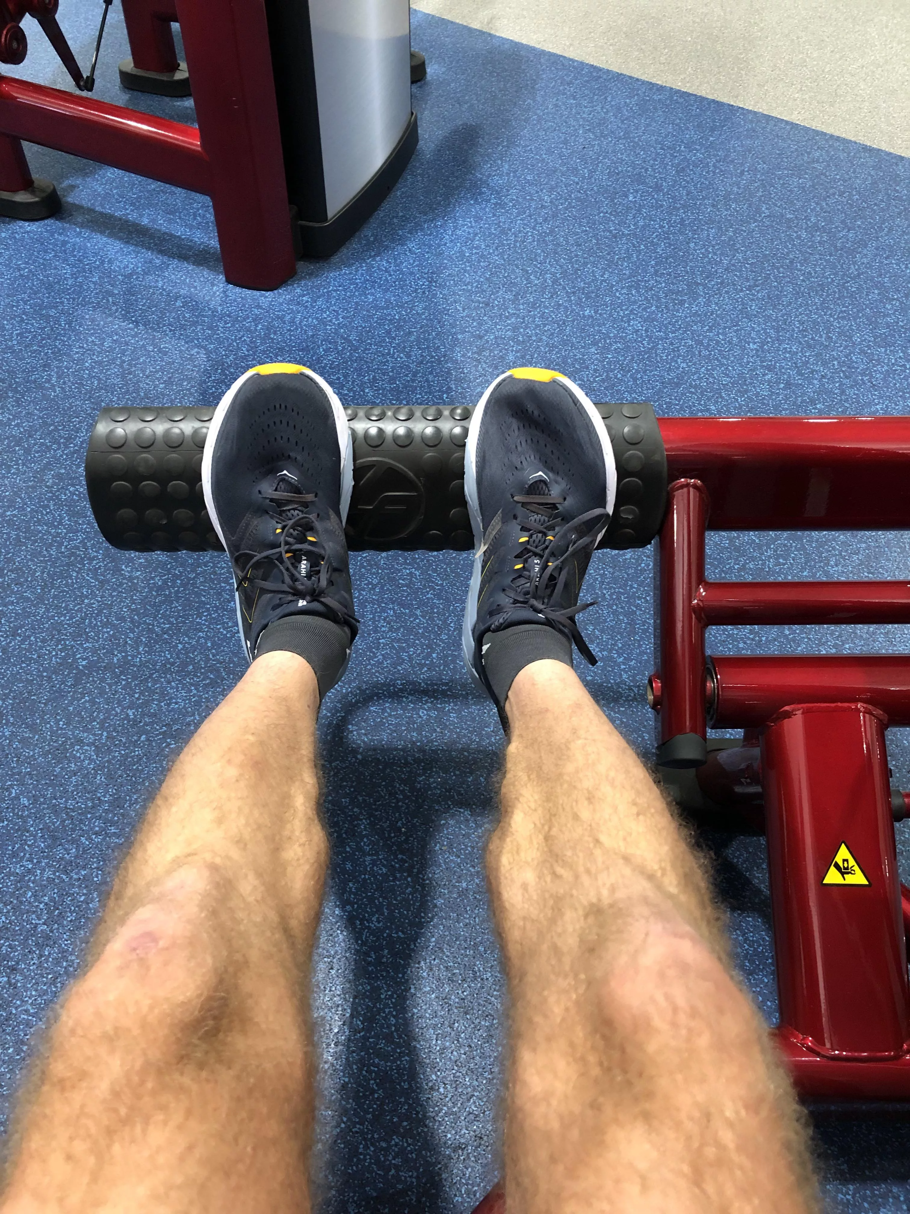 Alright, these are my legs [m]. posted by bored62095e