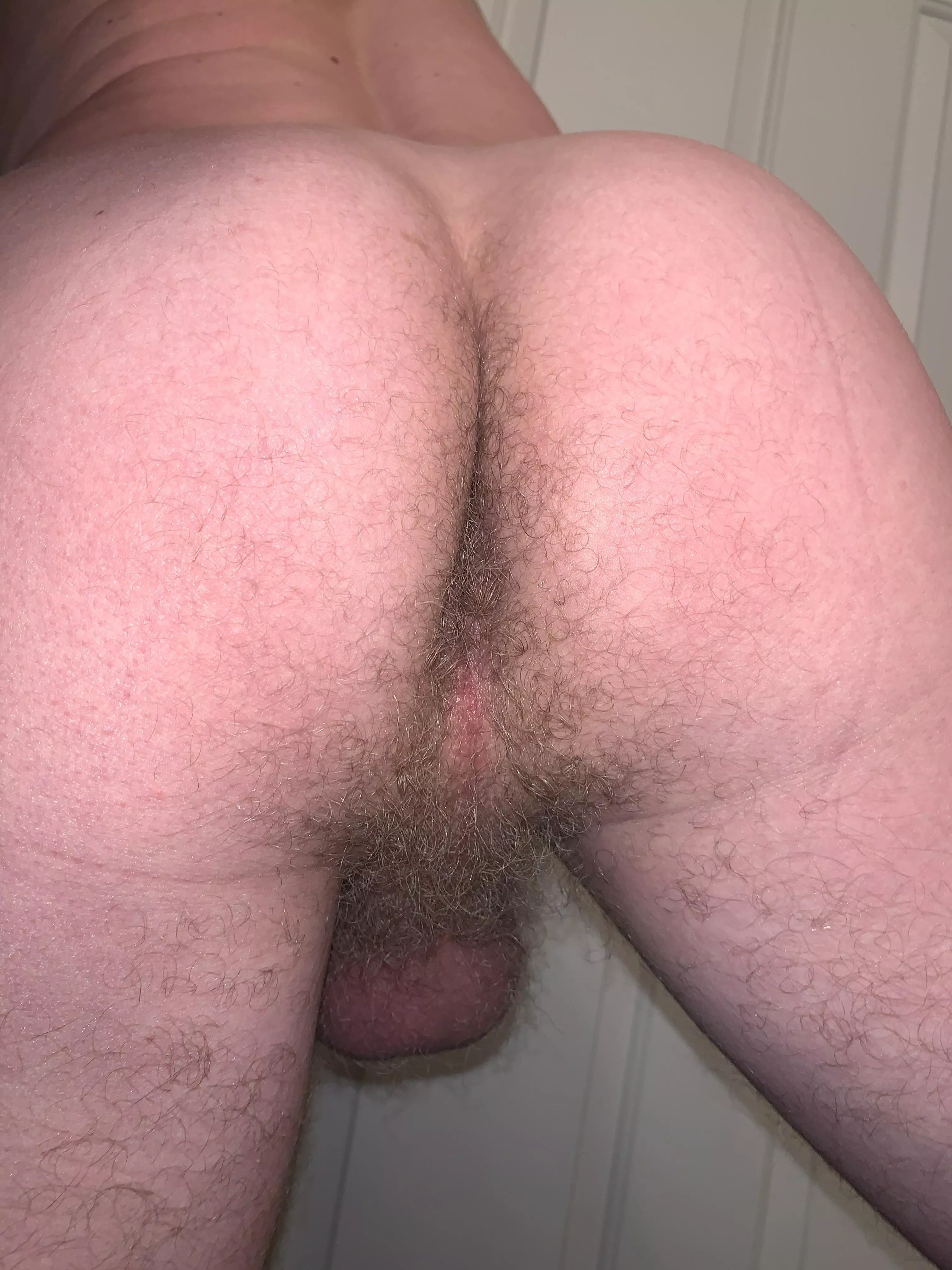 Also, ass pubes? Wax or embrace? posted by bf4986