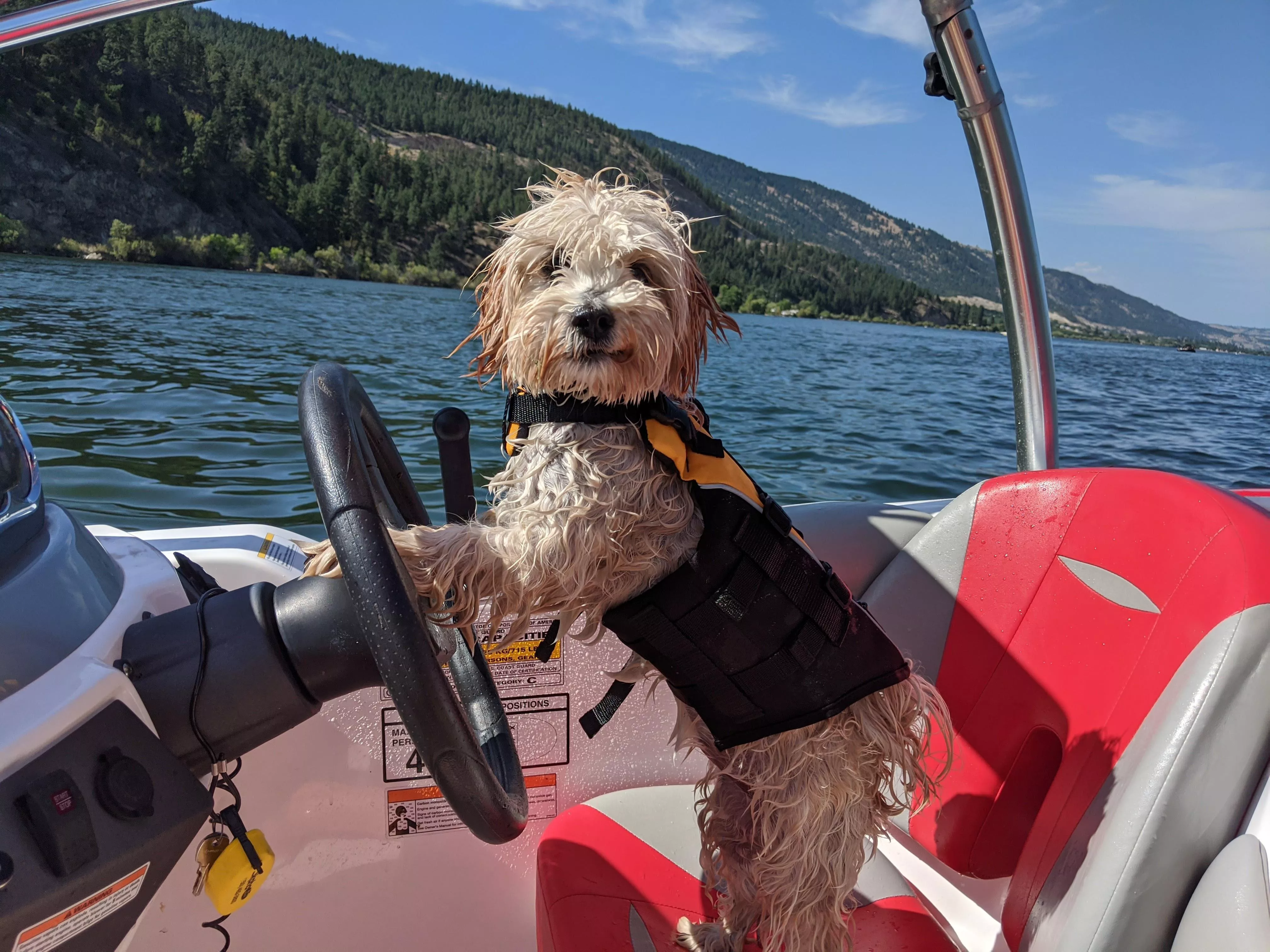 Always wear your life jacket when piloting the boat! posted by chunkstyle