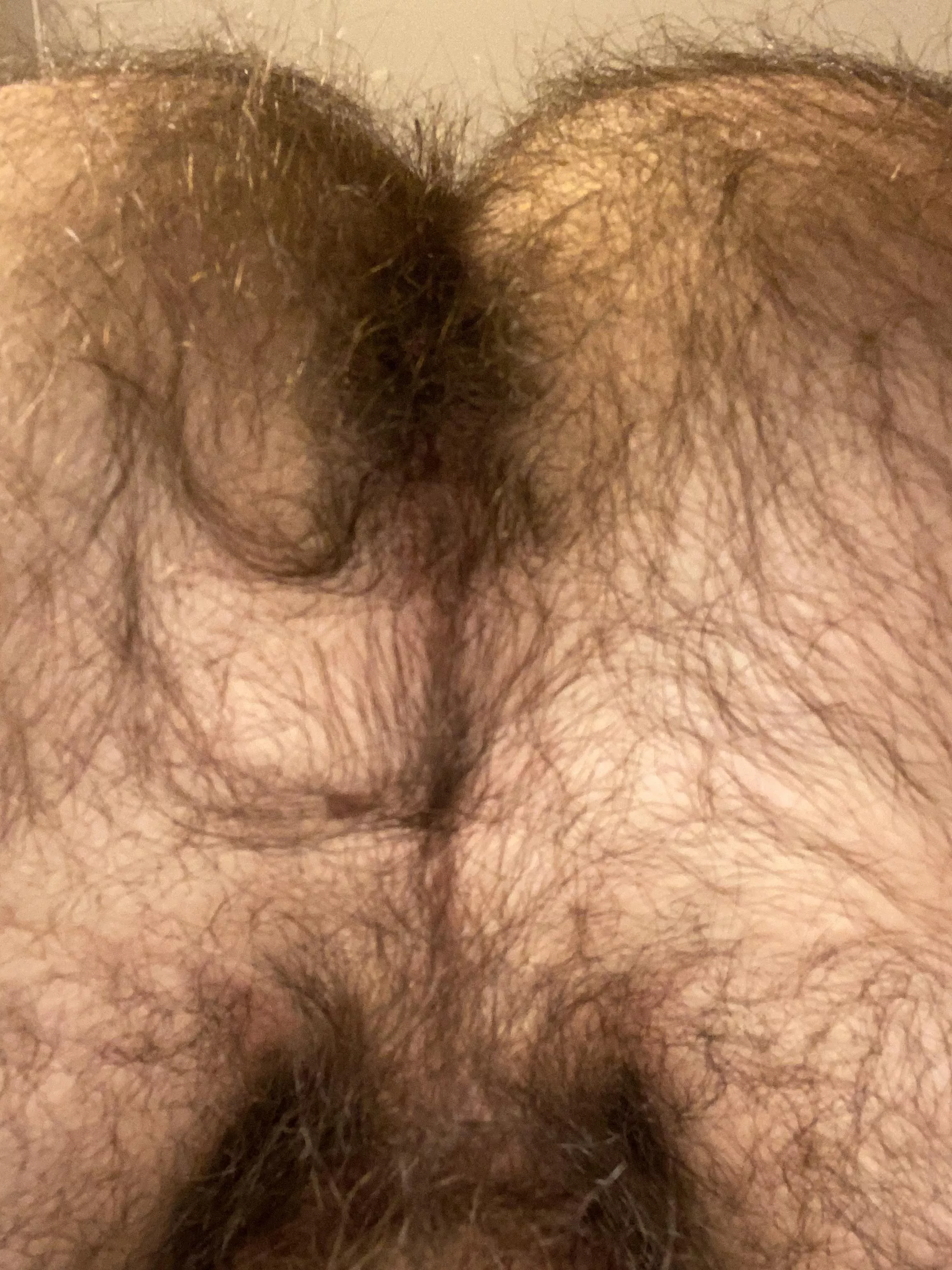 Am I hairy enough for this group? posted by 5_in_guy