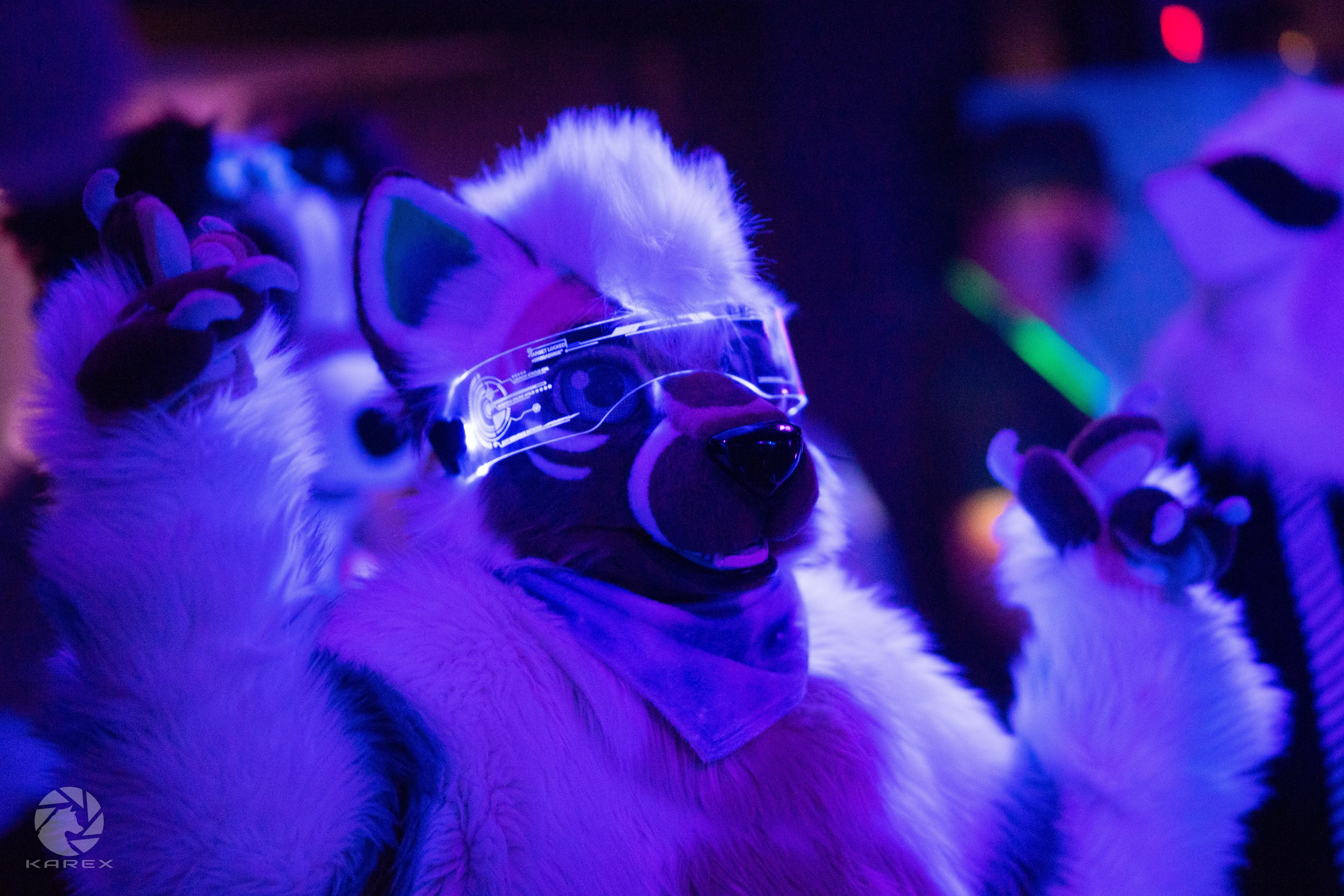 Ame on the Dancefloor at Furstrike! Have a fluffy Thursday 📸 Karex posted by xakifox