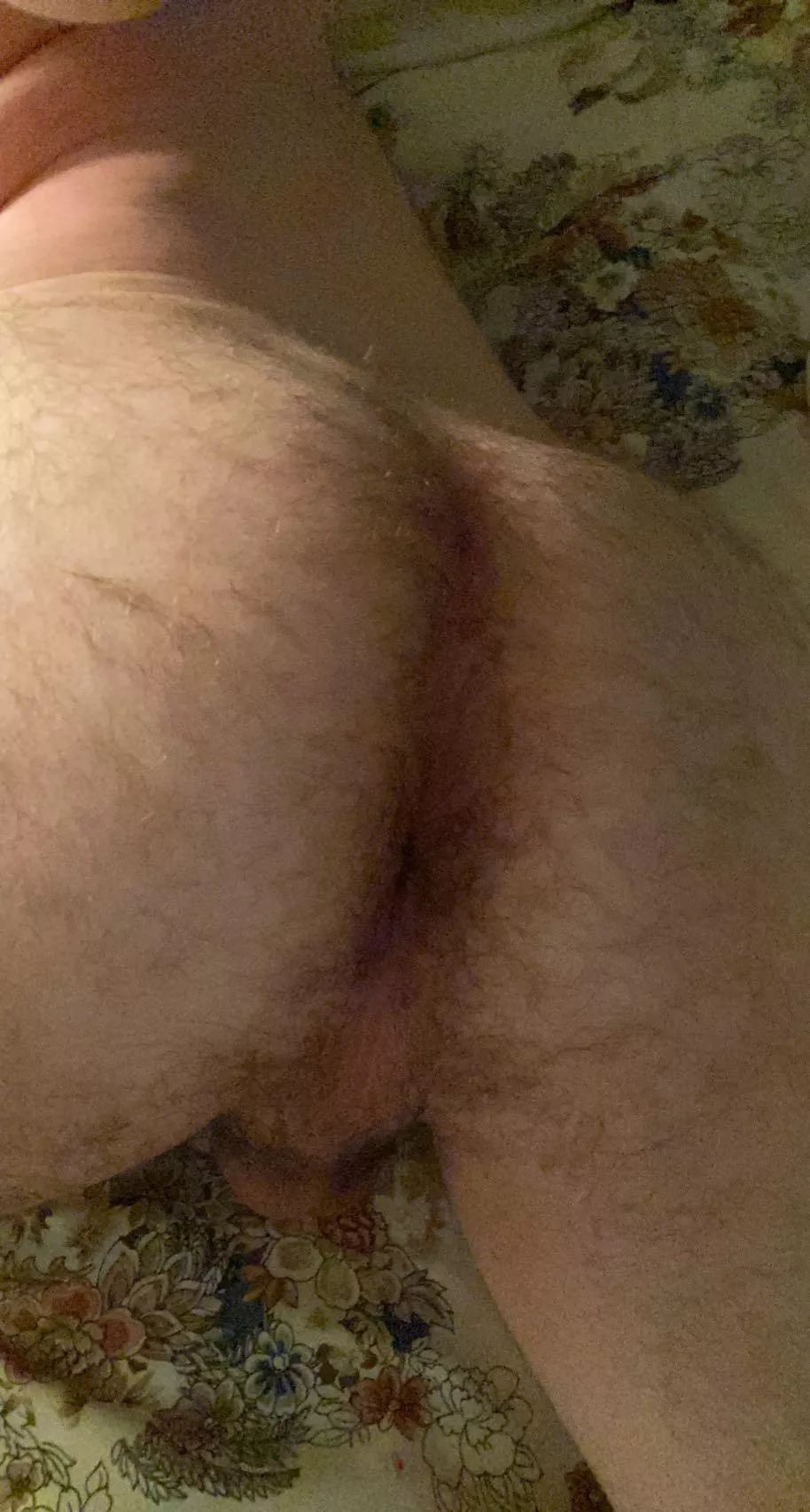 any chubby tops need some ass? hmu ;) posted by j_p82601