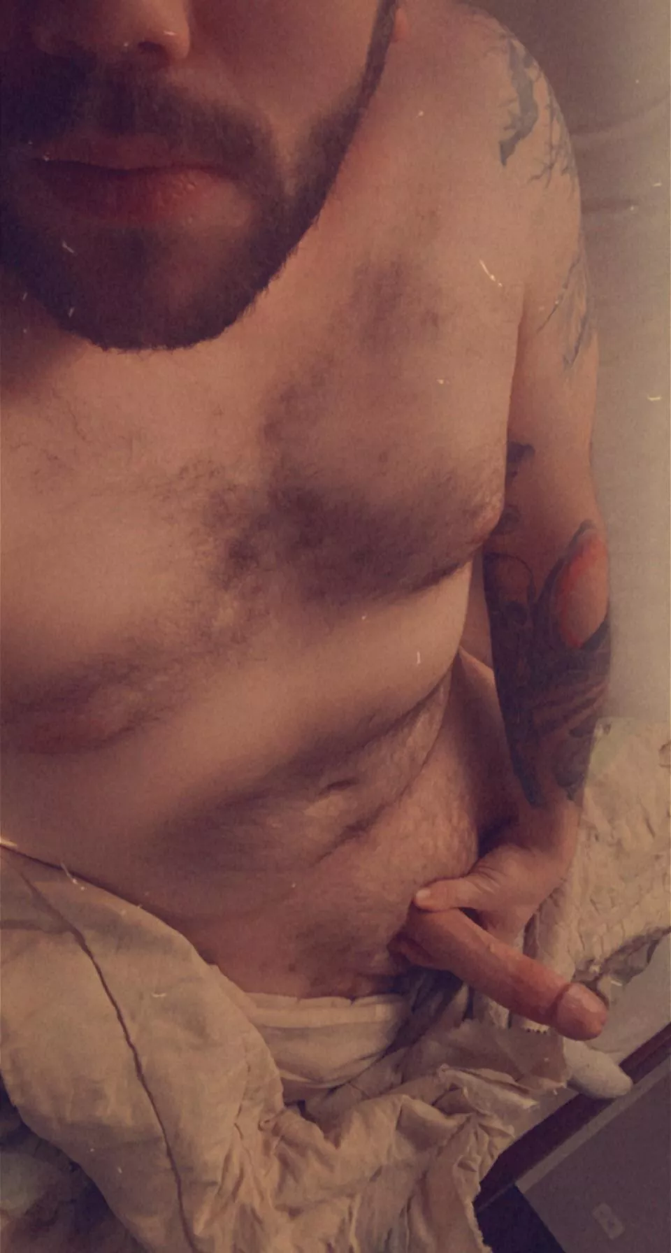 Any fans of single dad bod with a nice cock? 30 [m] posted by Incursio-Light