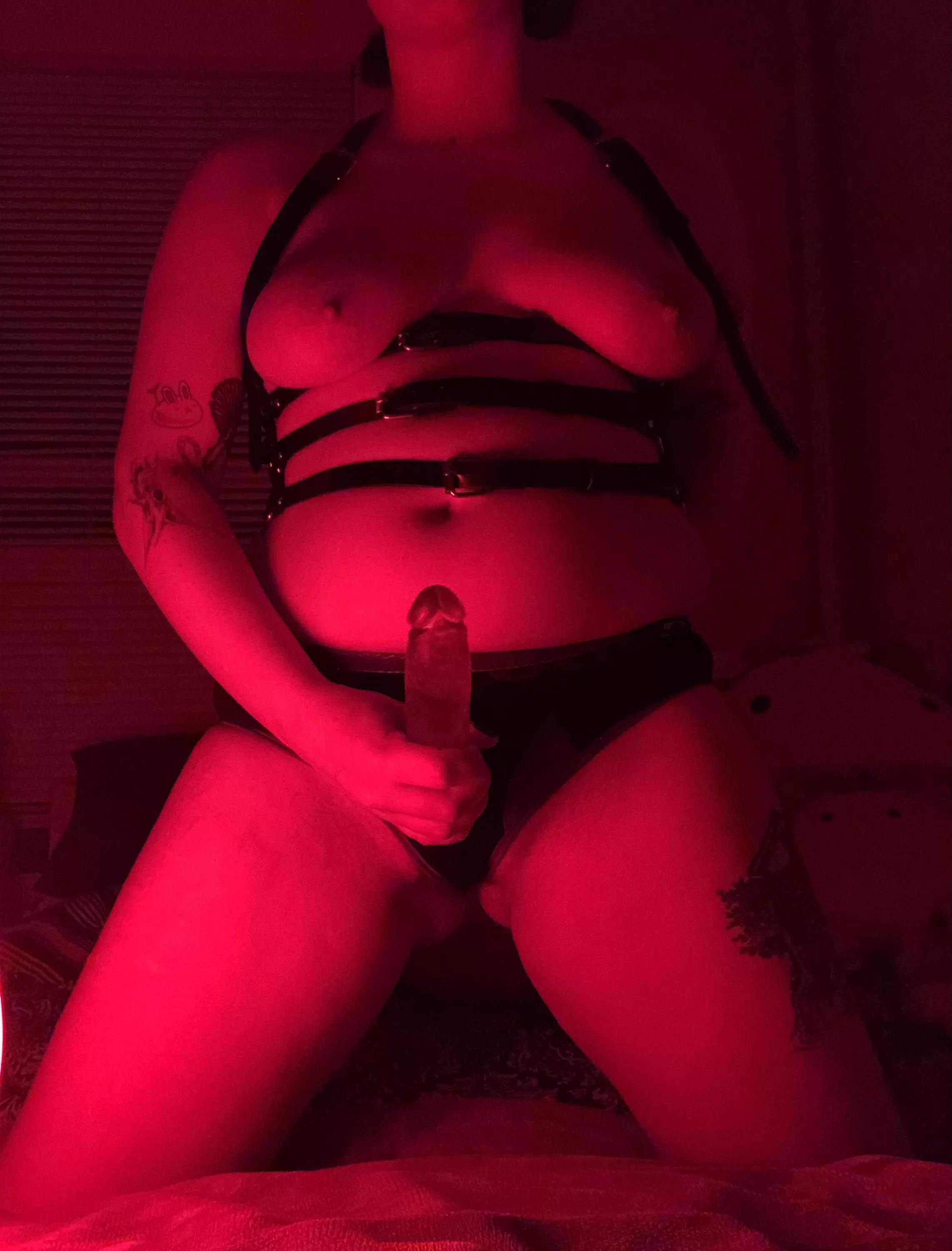 any good pups wanna get on their knees for me?? posted by francisfever