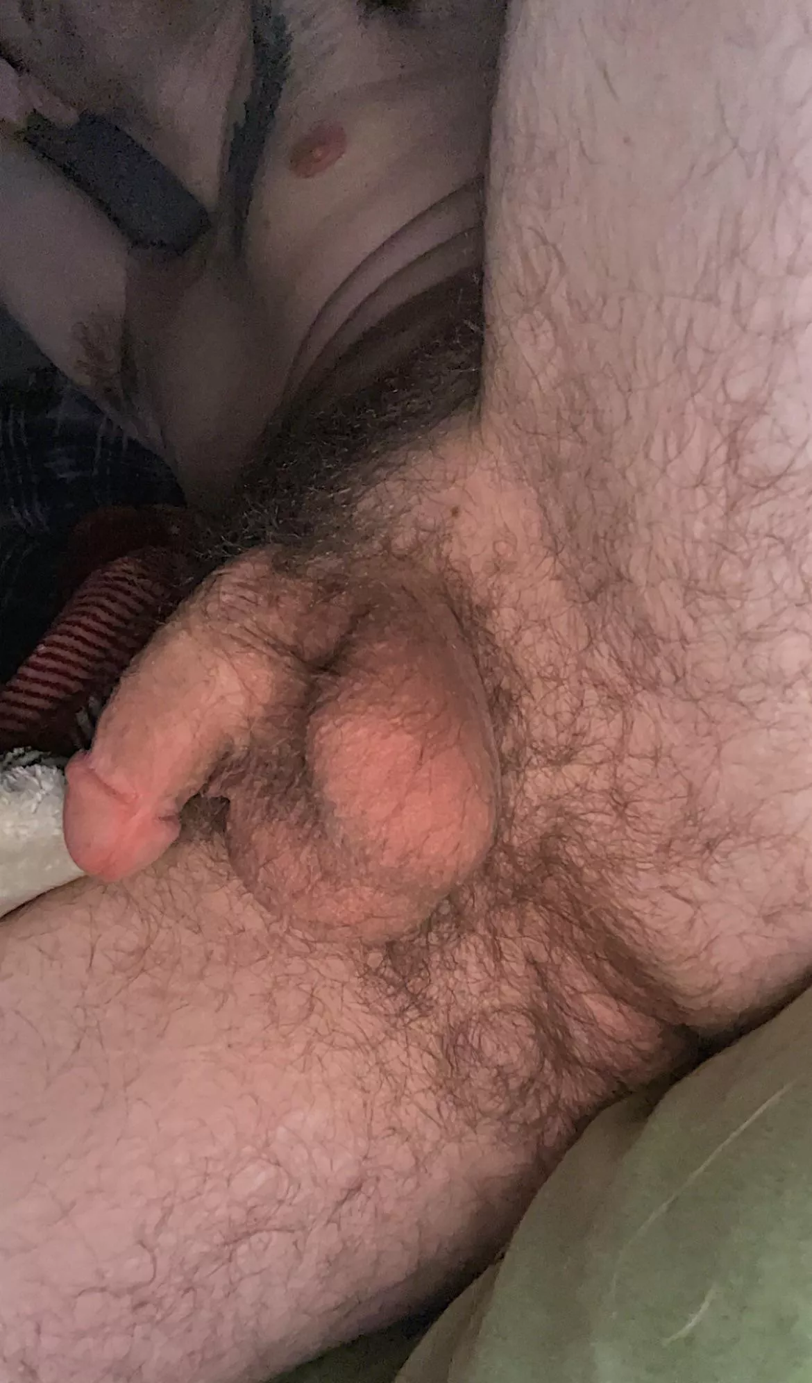 Any like a hairy taint with bush?? posted by Ok_Mammoth_2756