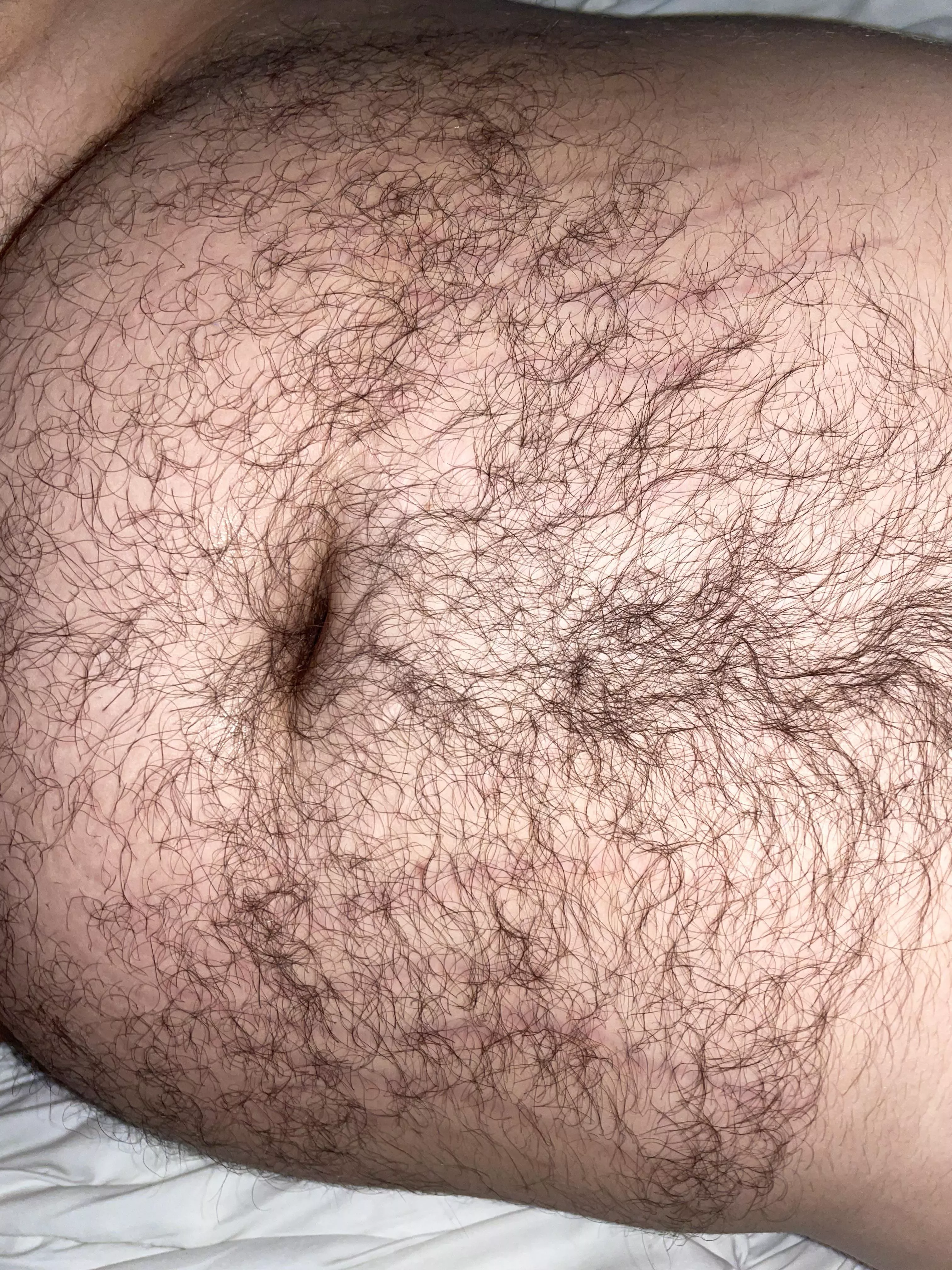 Any love for a hairy belly? posted by Hairbair12