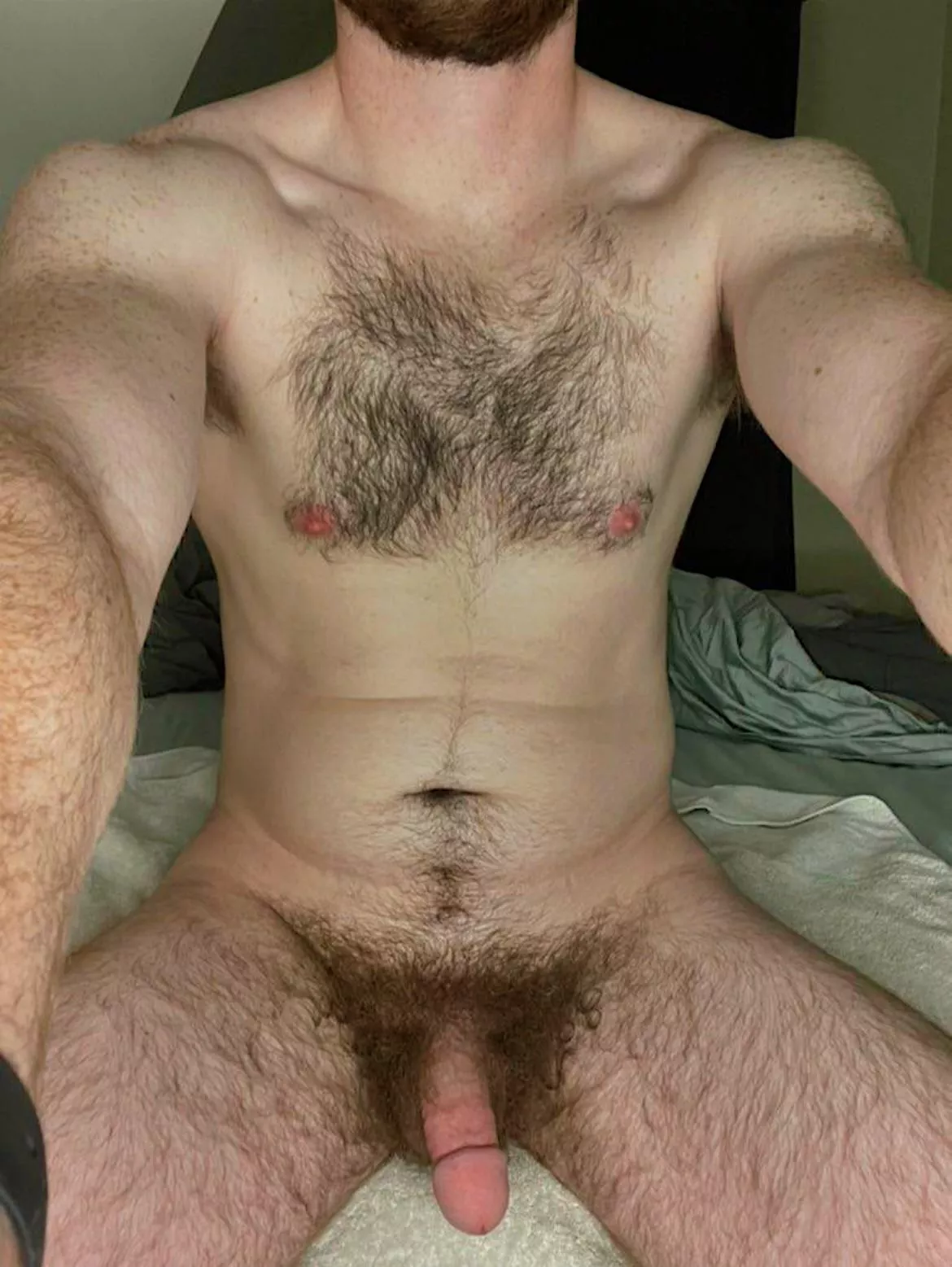 Any other hairy gaymers?? posted by Ok_Mammoth_2756