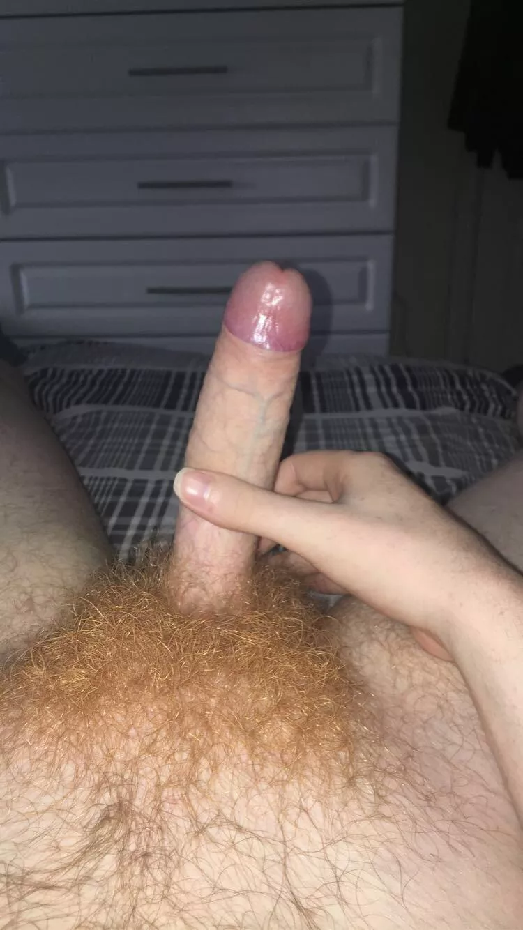 Any takers? posted by AJGINGER20