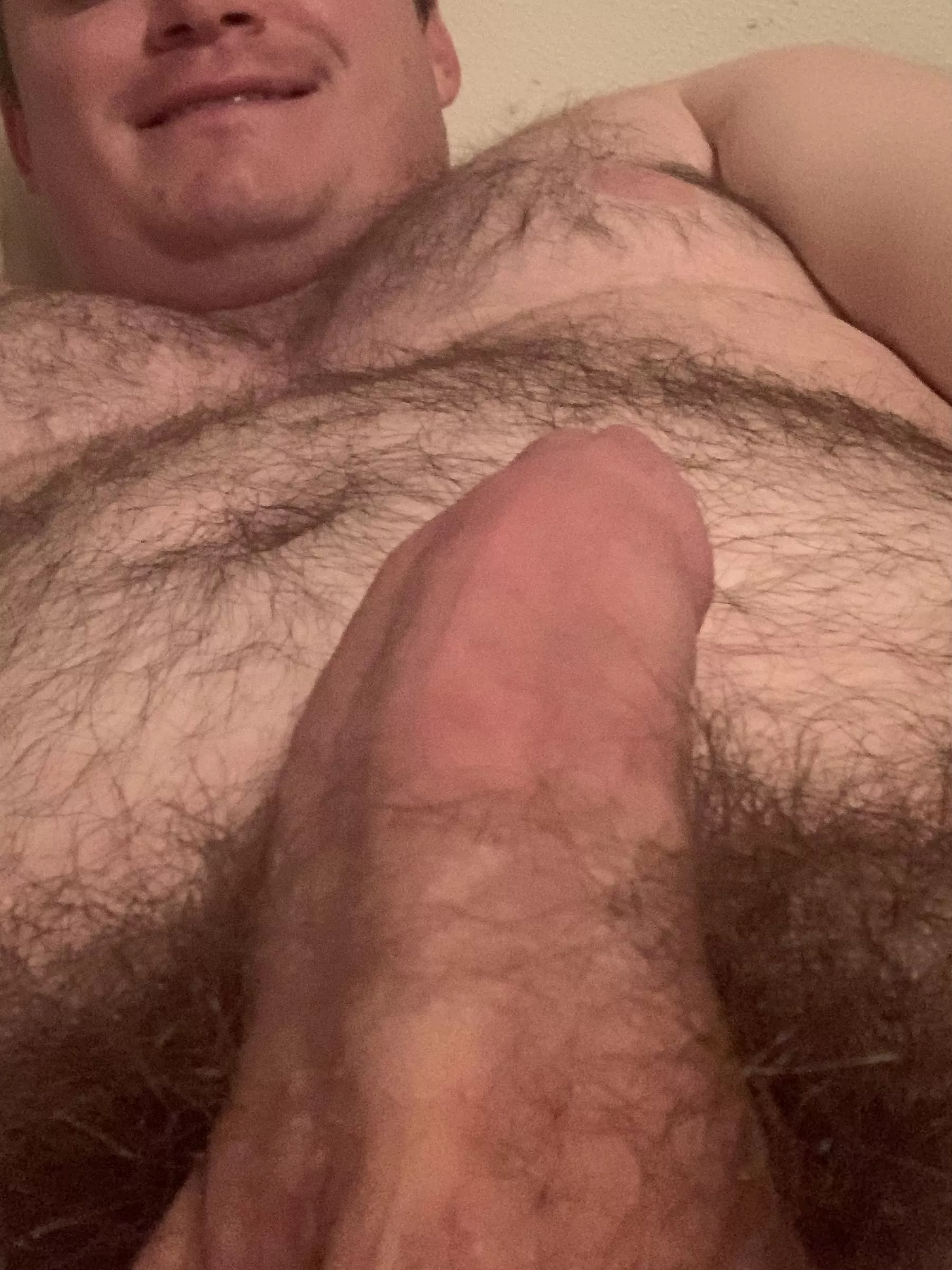 Any want to have fun with a chubby, hairy guy? DMs Open posted by bamabisexual