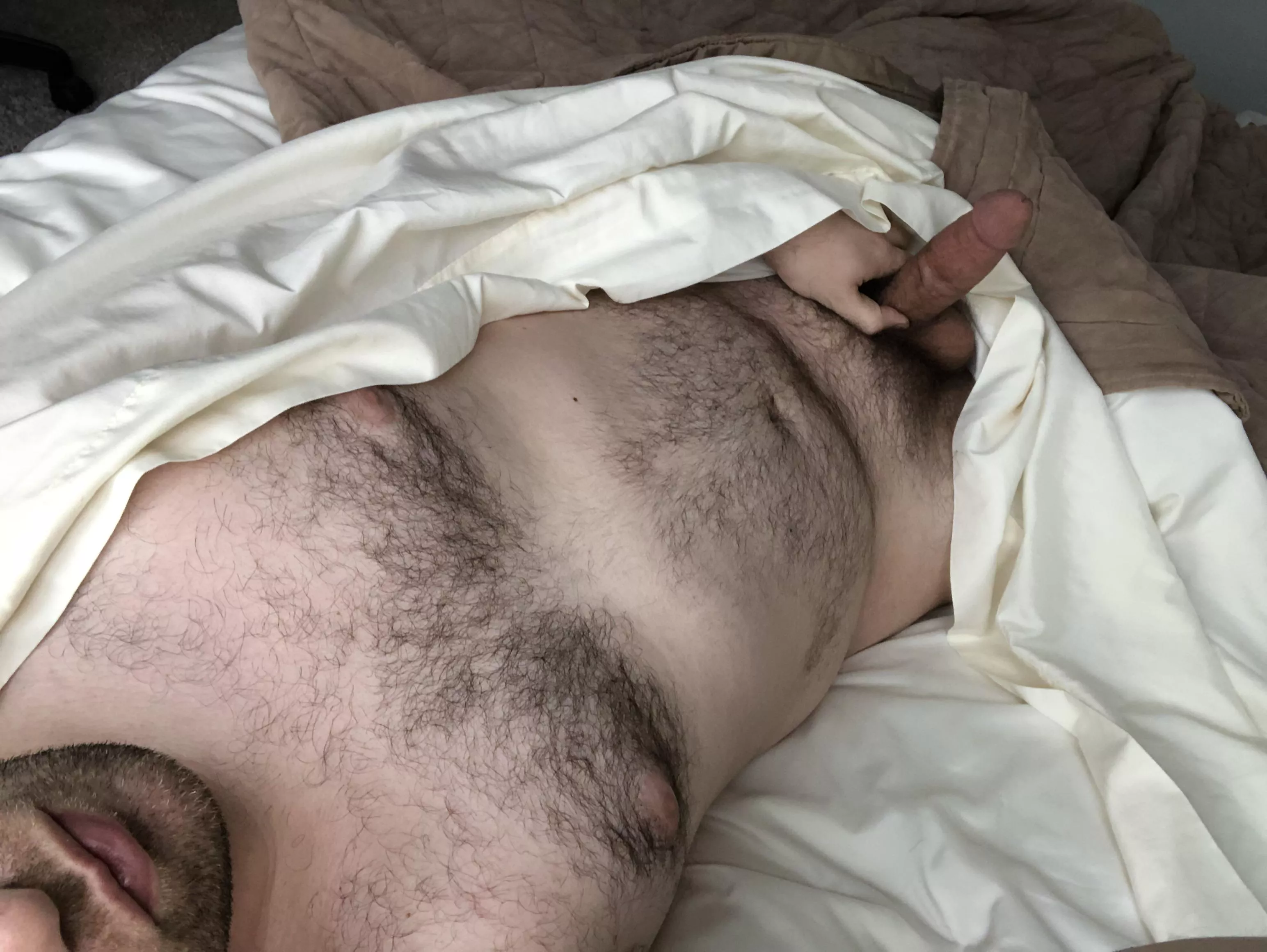 Anyone else get woken up by morning wood? posted by oldlurkernewquestion