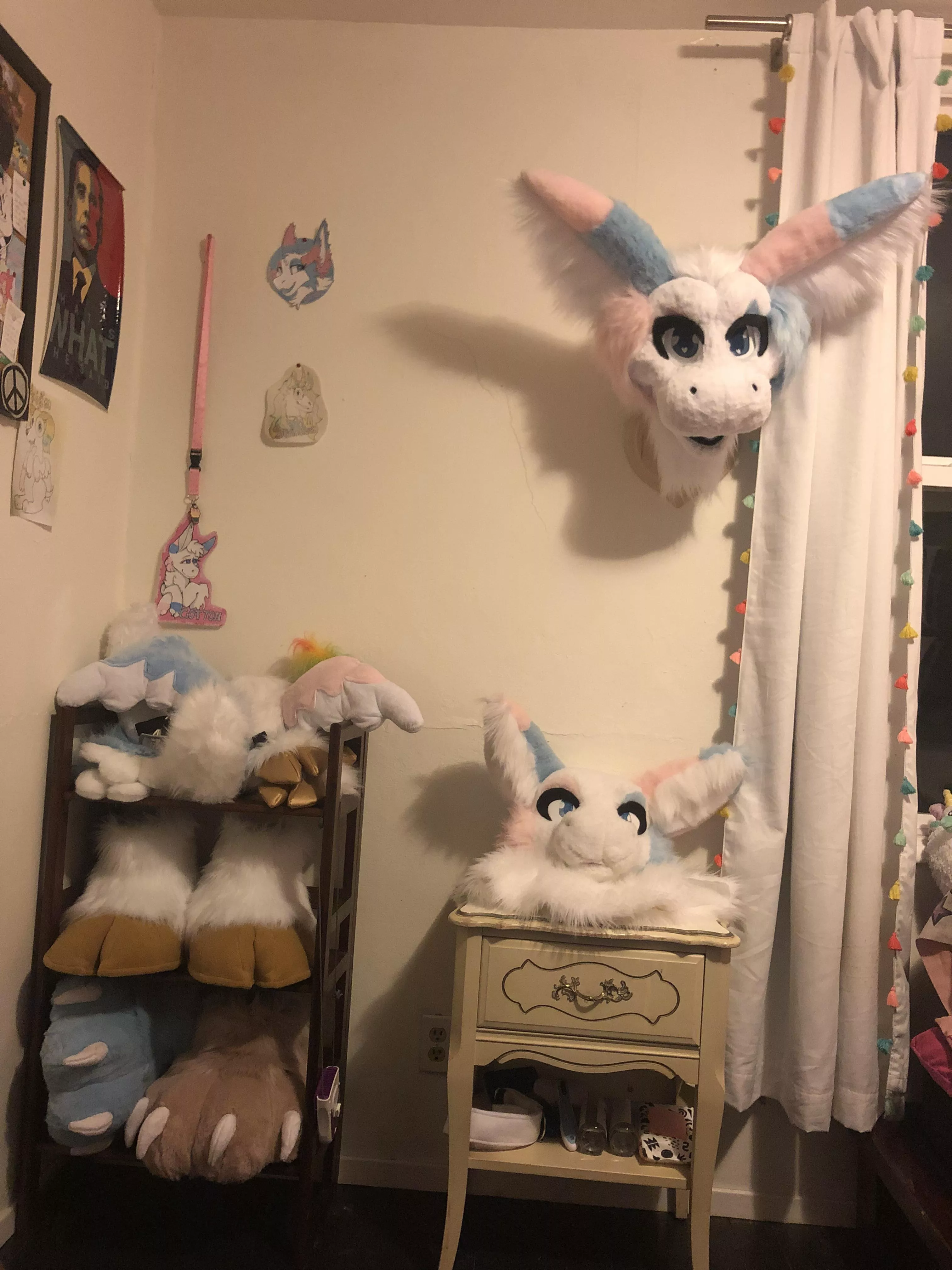 Anyone else got a furry section in their room? posted by ChemicalBarnacle