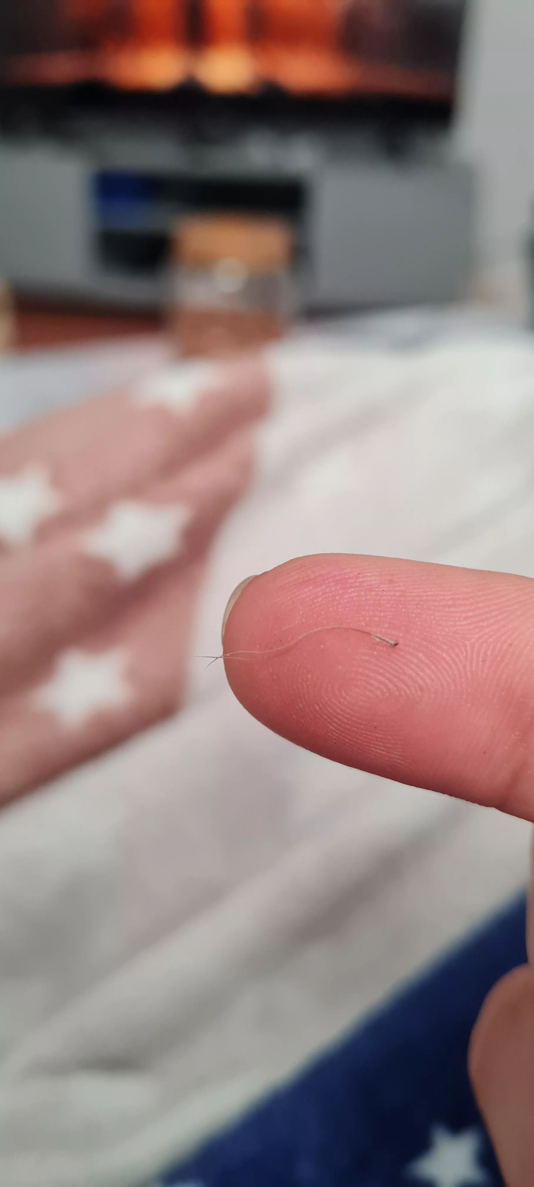 Anyone else pull out grey nose hair from time to time? posted by sampips