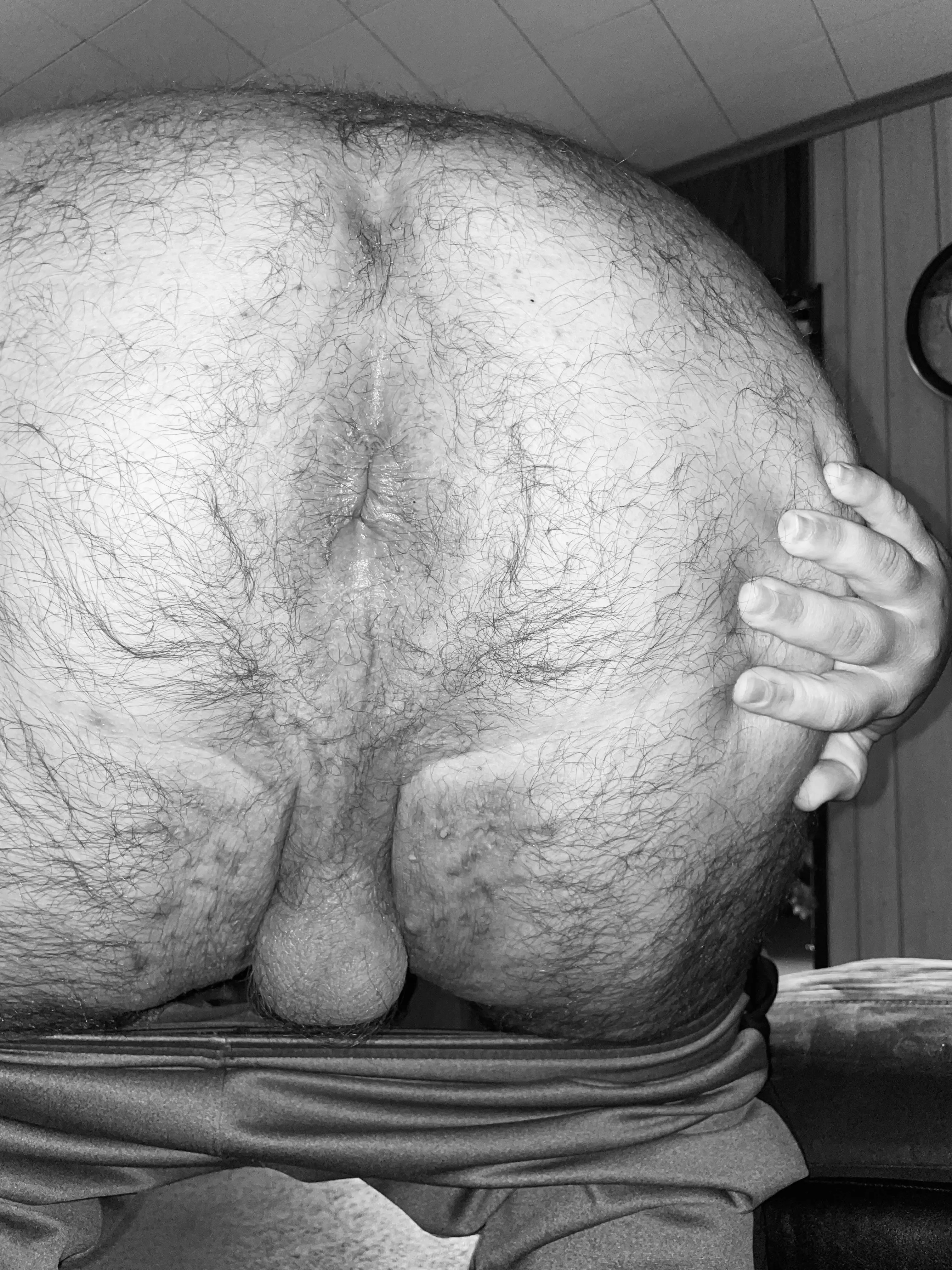 Anyone here like a chubby bears hairy ass? posted by BiBeefyHairy