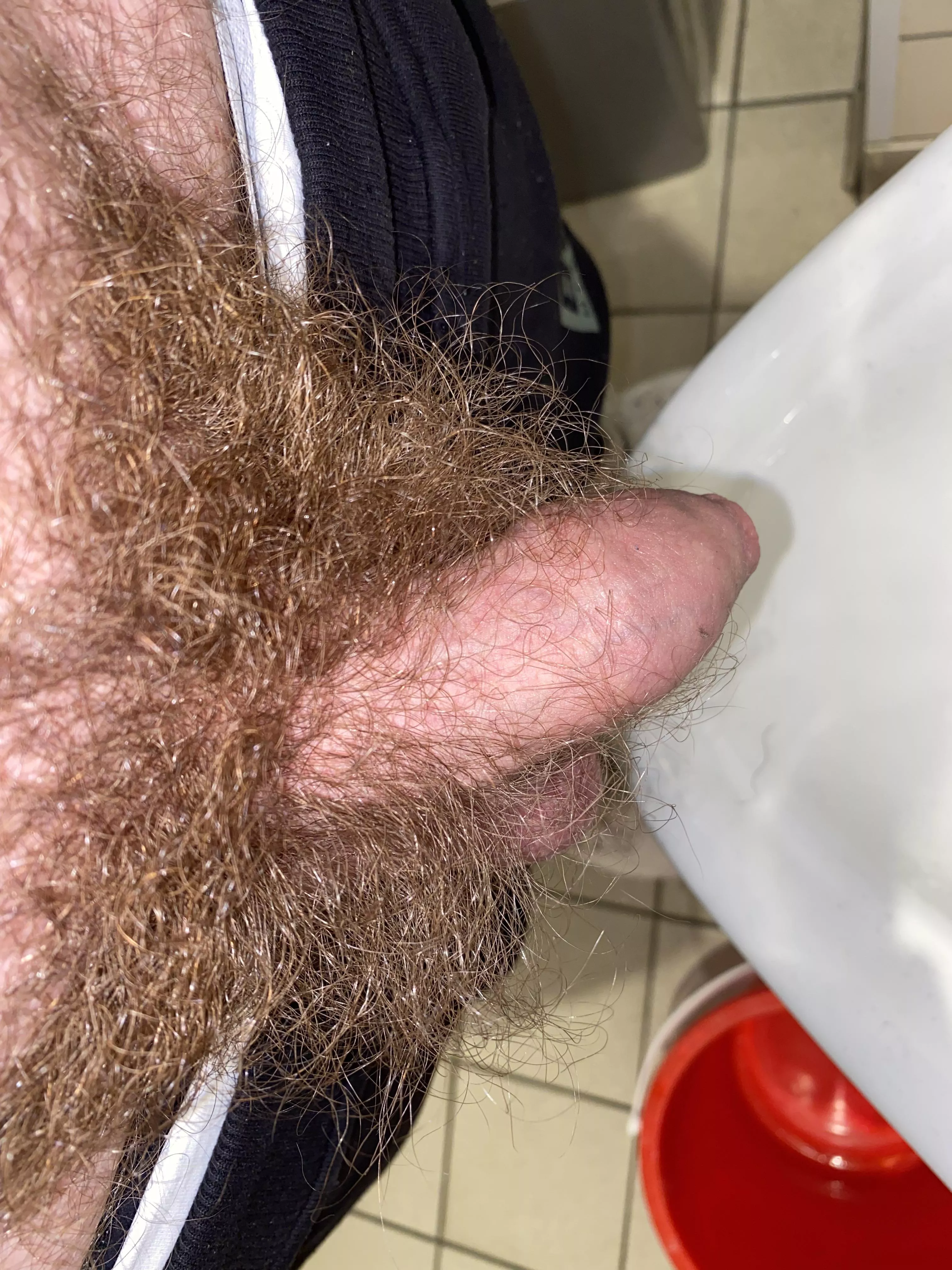 Anyone here with a hairy shaft or admirers check out my new sub r/hairiershafts! Not just bushes but actual hairy dicks! (Hope it’s ok to post here) posted by Danl5