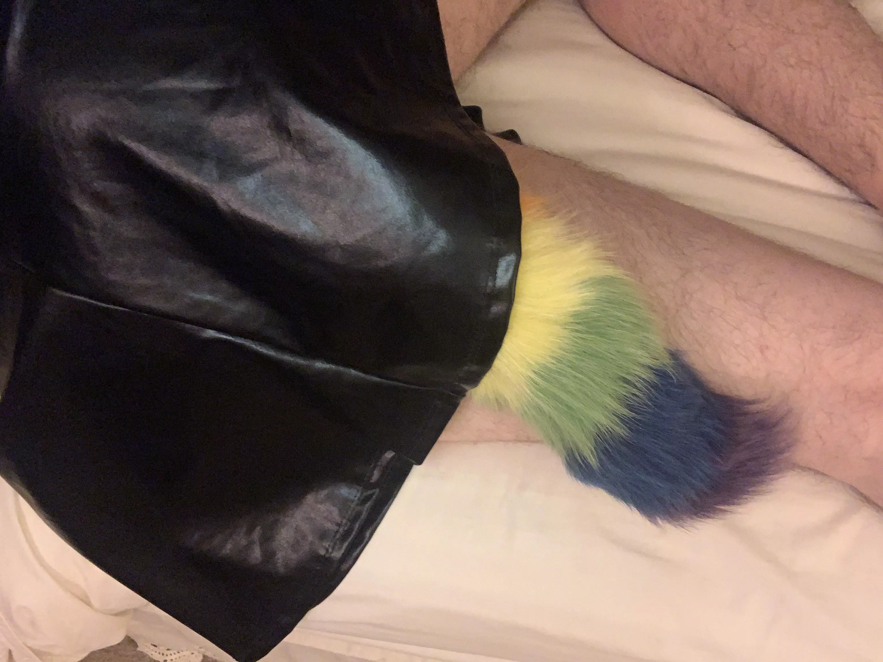 Anyone into sissy’s with tails rainbow tails posted by Awoodsman2