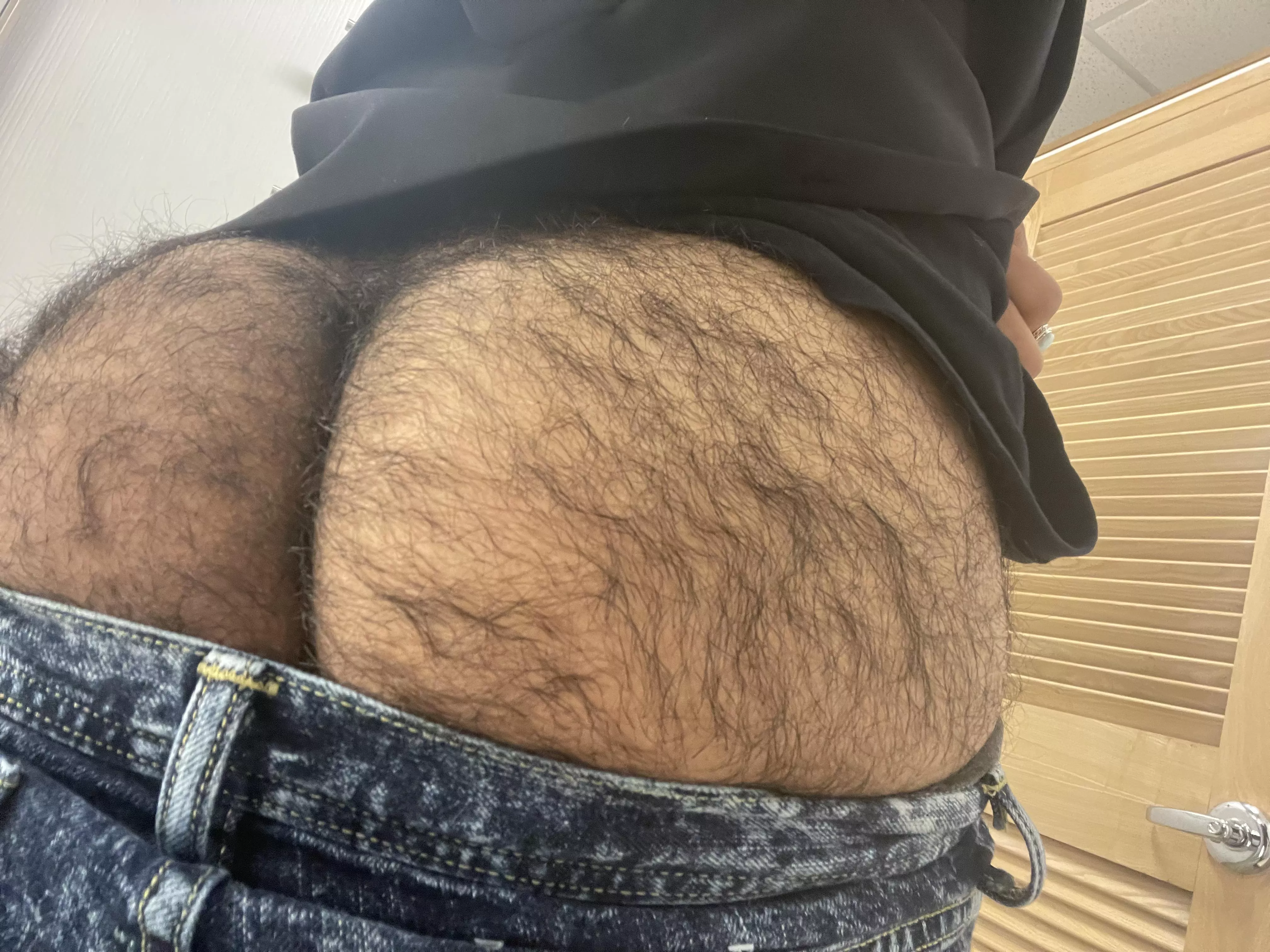 Anyone like a hairy guy?? posted by gayandhairy