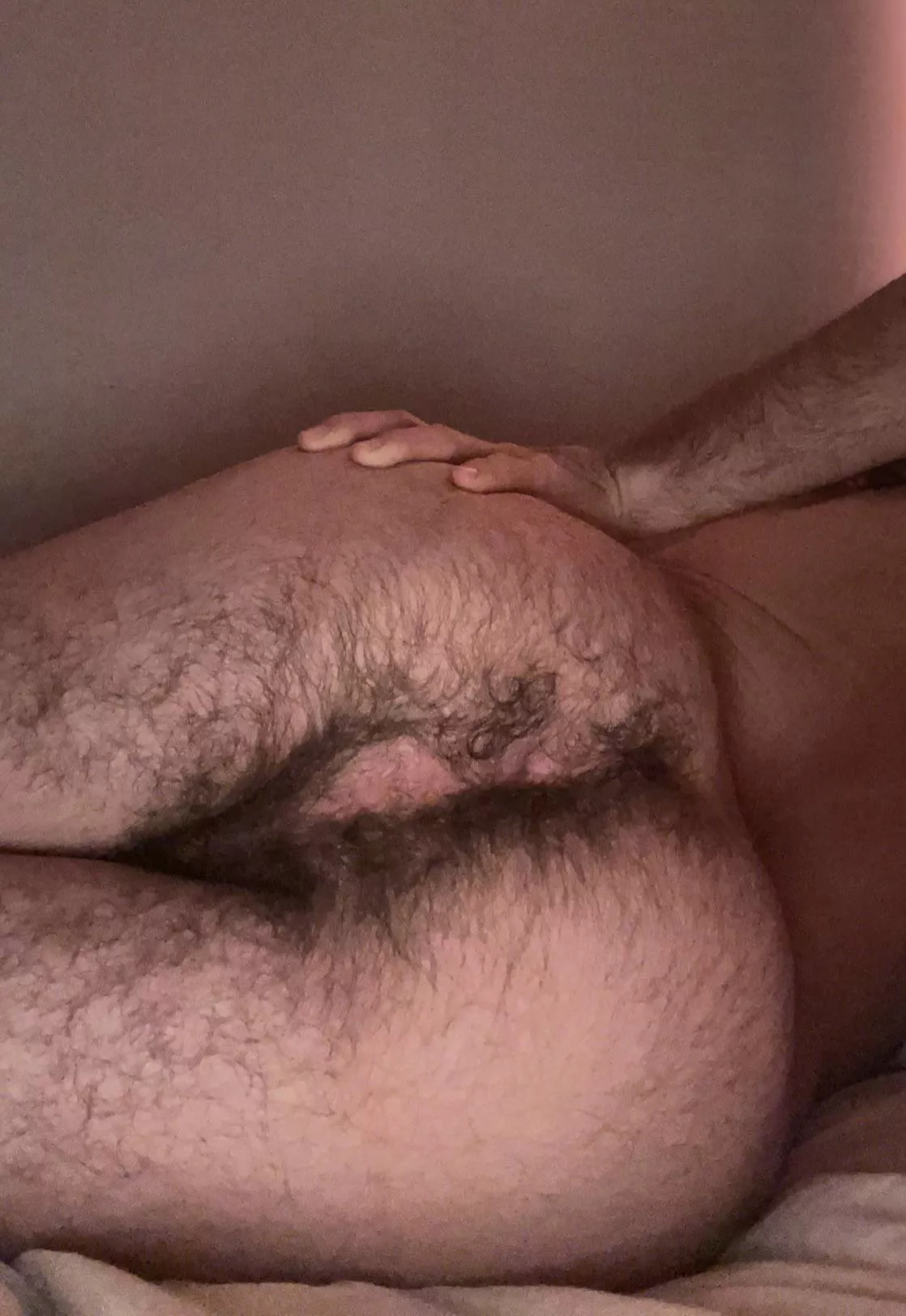 anyone like hairy asses? posted by yourfavoriteboy00