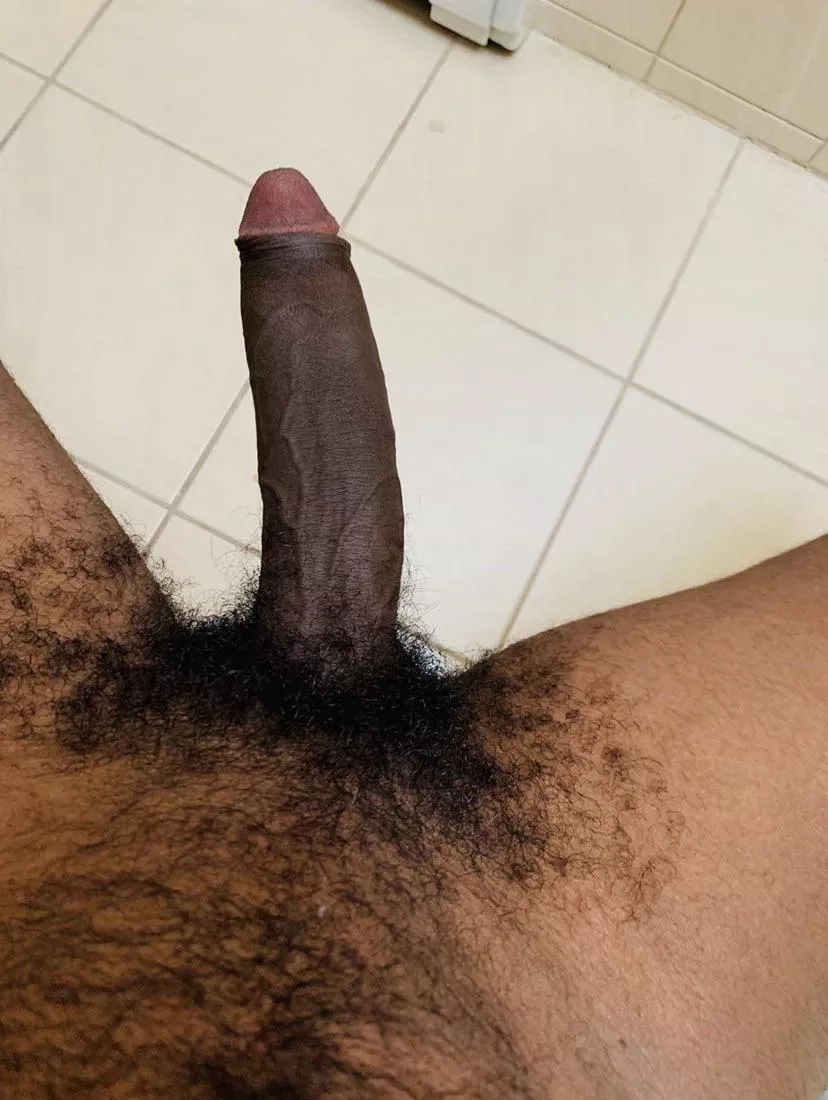 anyone like hairy bbc? posted by trionyc