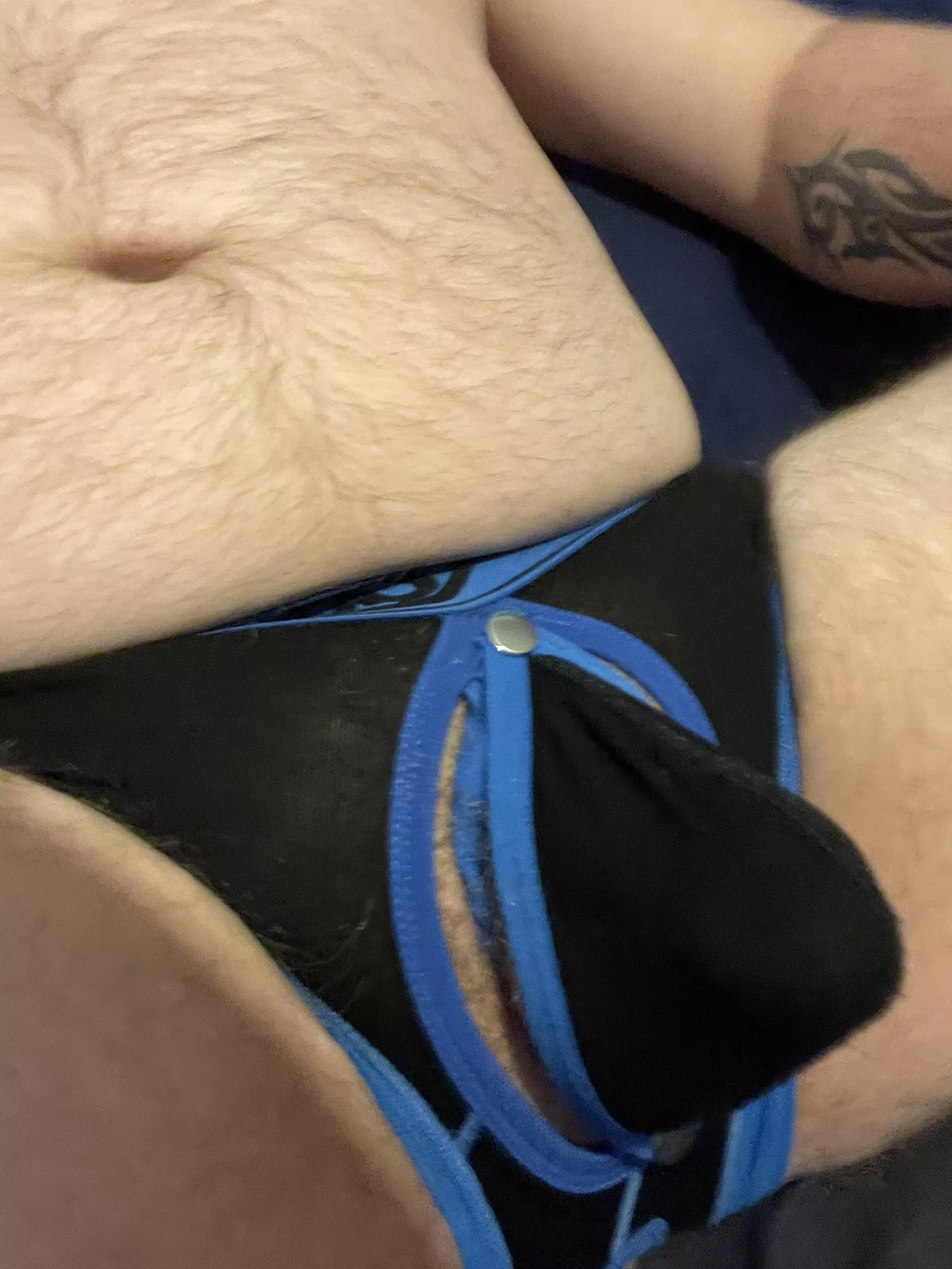 Anyone like my bulge? posted by Bearguy84