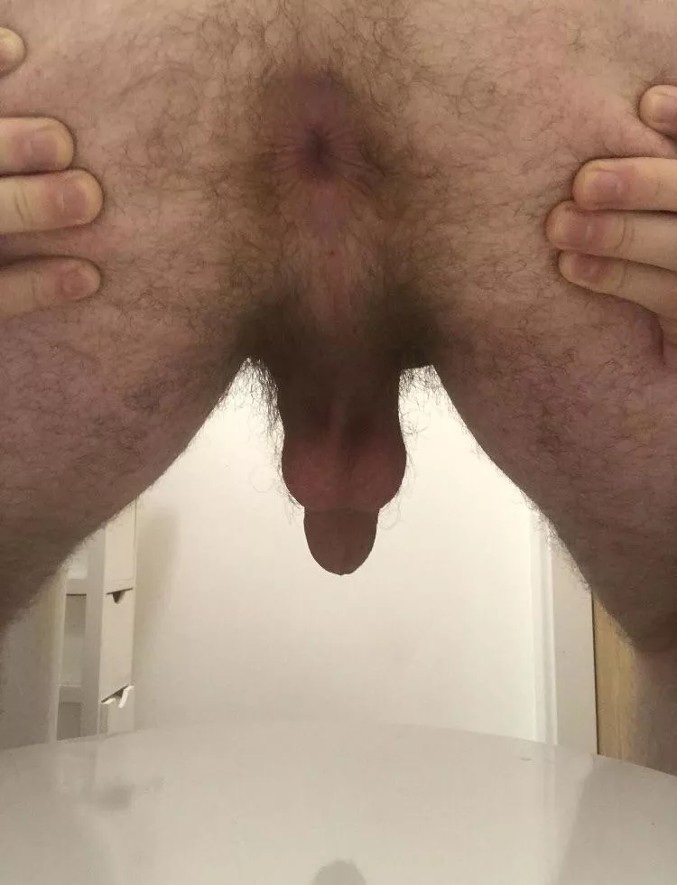 Anyone like my hairy ass and balls 👀 posted by Caseywestwebster