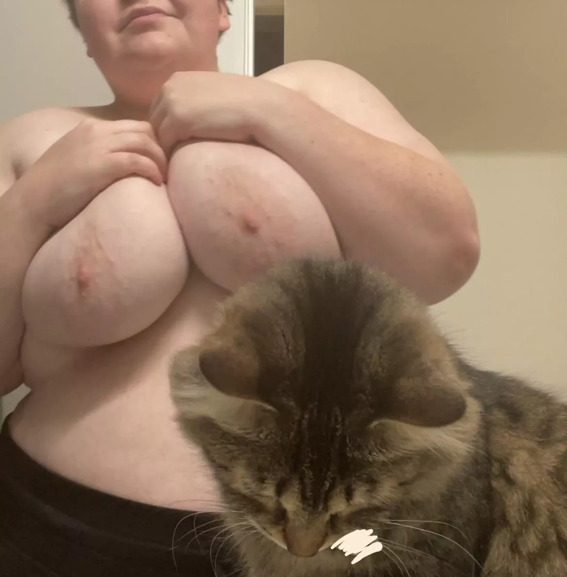 anyone like pussy pics? 😻 posted by iMakeFriends22