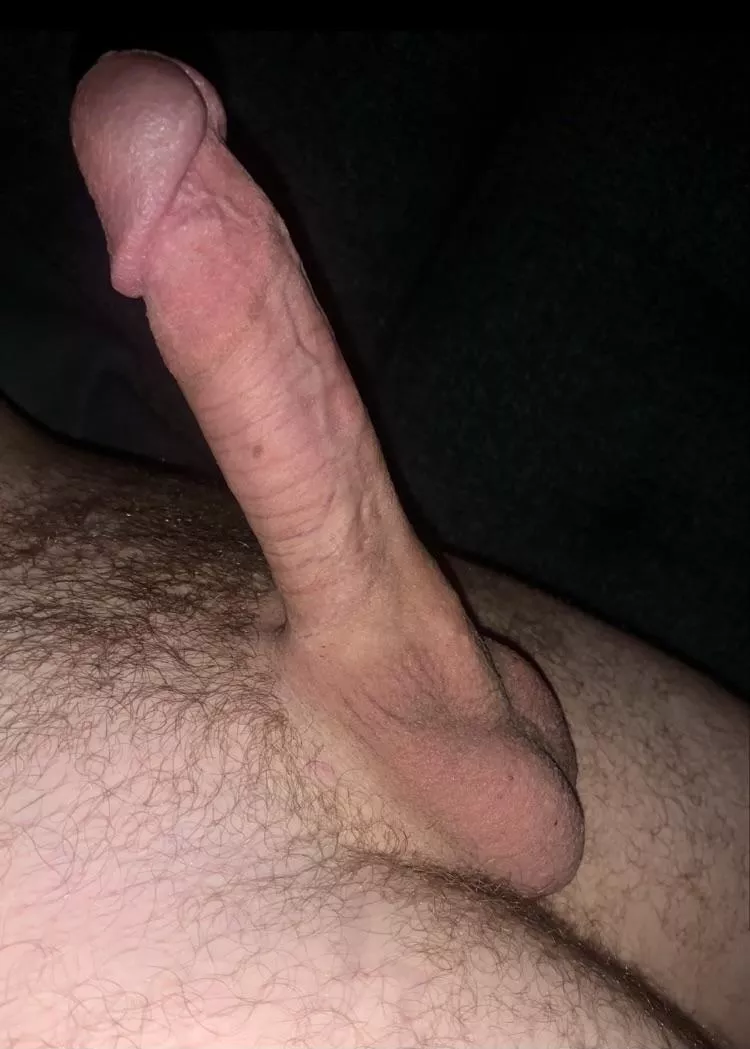 Anyone like the look of my late night hard-on? posted by SoCal9394