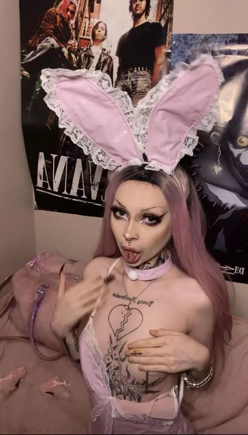 anyone need a goth bunny for Valentine’s? posted by freakonaleash47