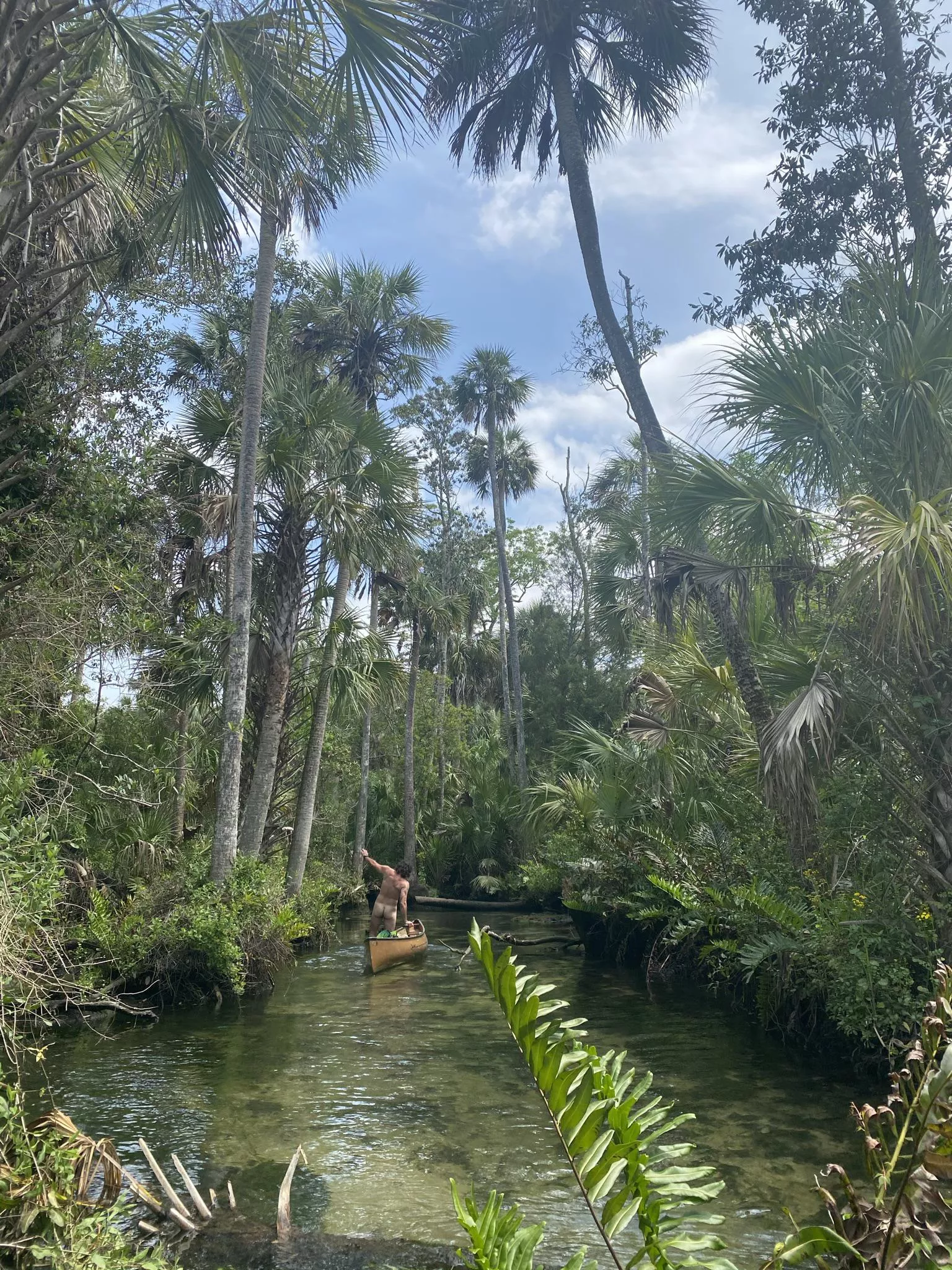 Anyone up for some florida man type paddling adventure? Might see some gators if we are lucky... posted by ougdaygnv