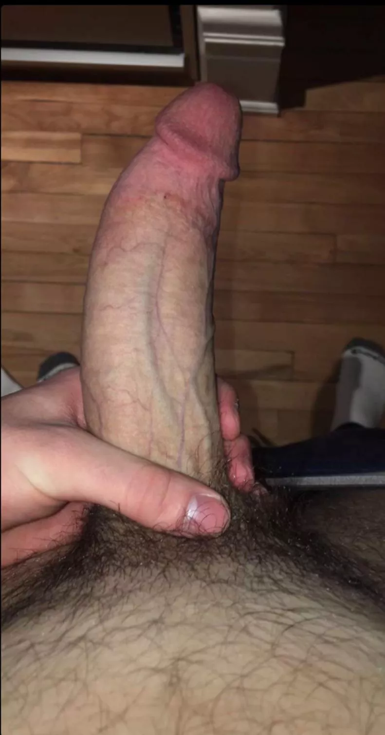 Anyone wanna feel my huge heavy college student cock in their mouth? Dm me for more! posted by adamtremblay