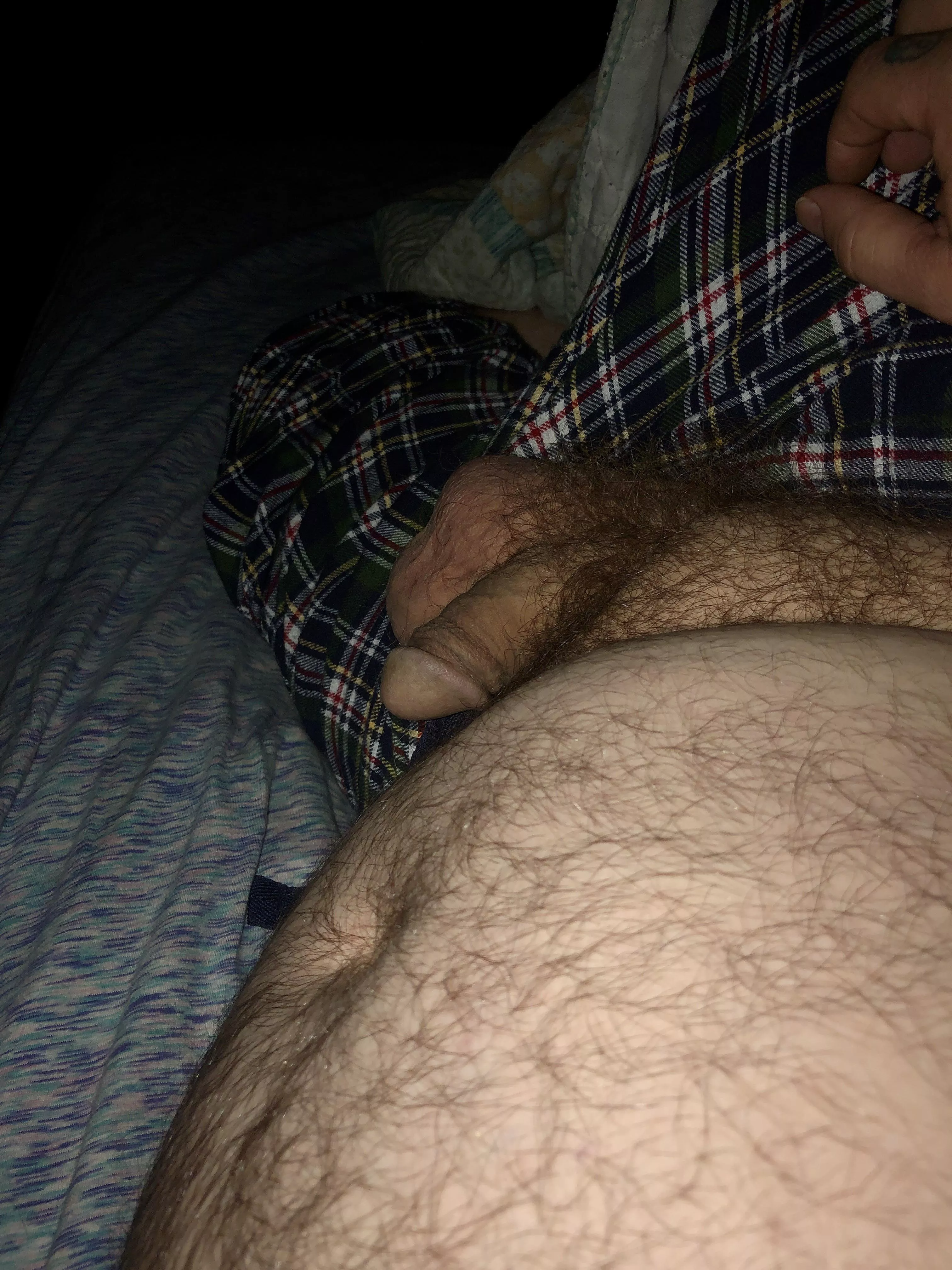 Anyone want to come make me hard? posted by BeardedPapaBear